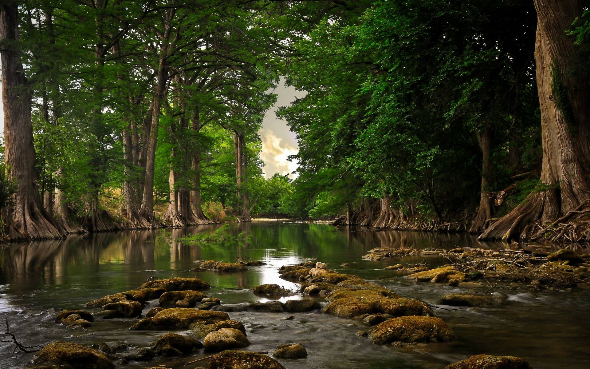 Wallpapers stones in the river nature stones on the desktop