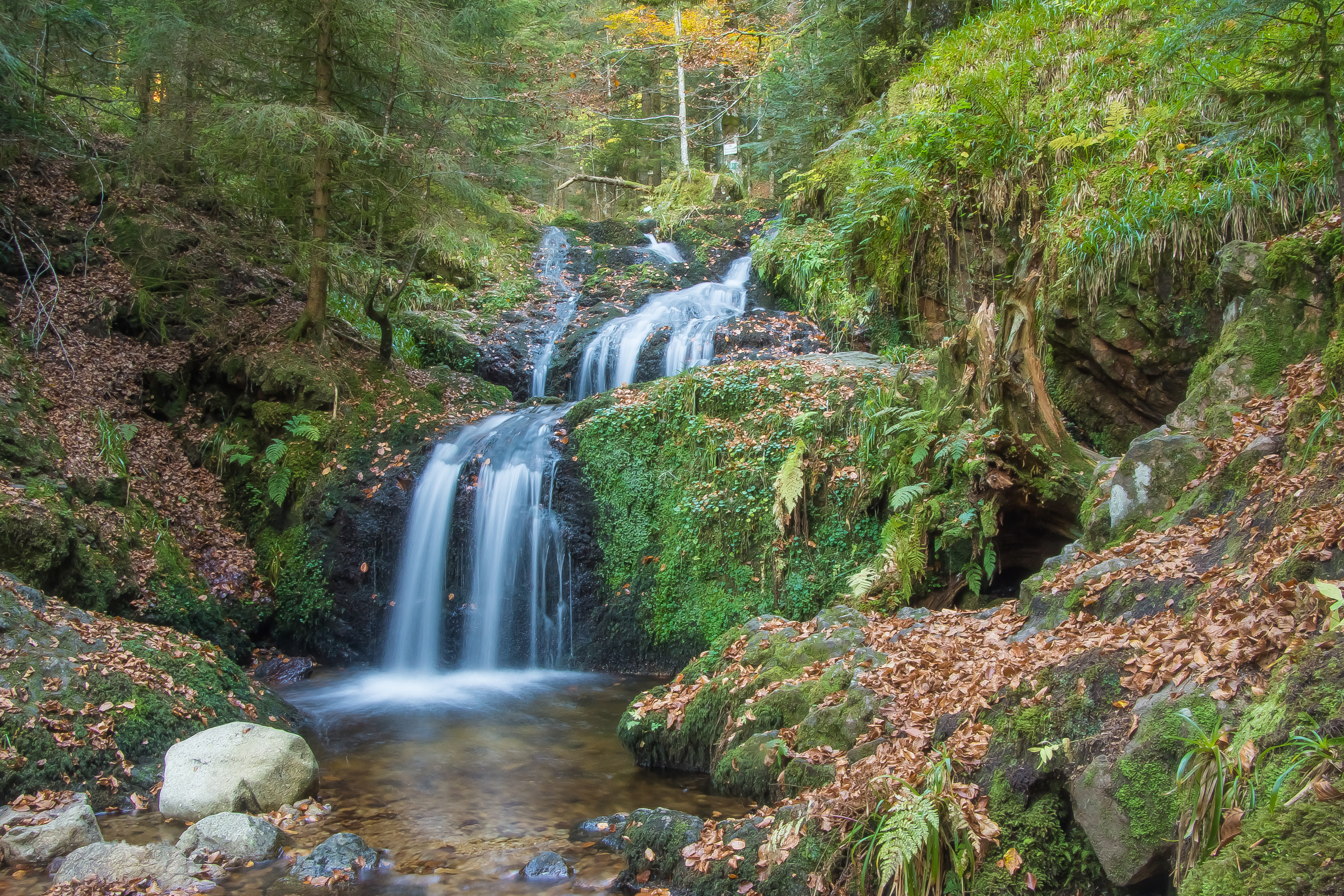 Wallpapers river Cascade Charlemagne forest on the desktop