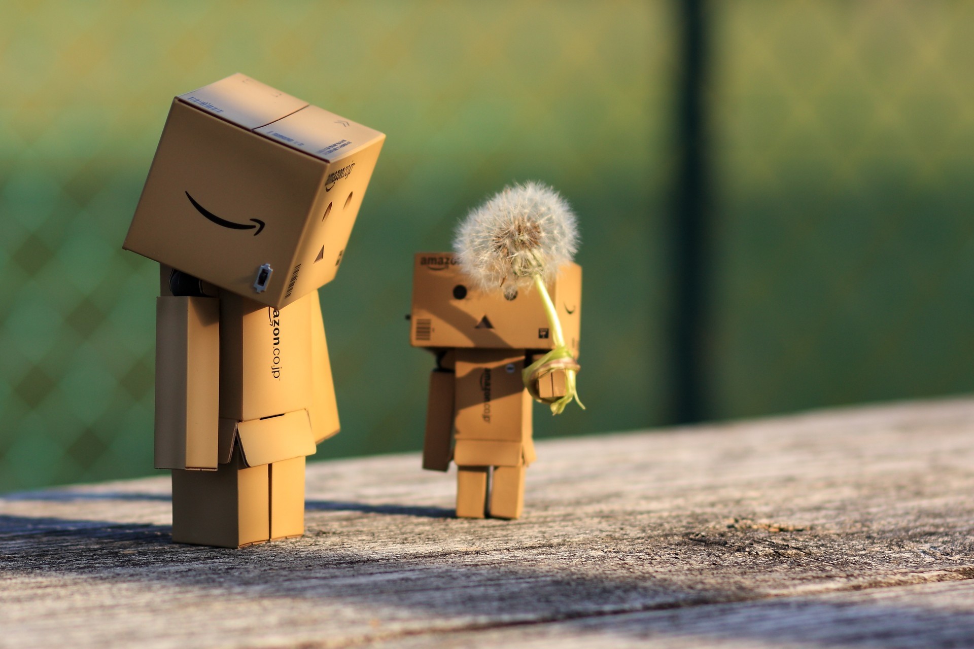 toy-danbo-dandelion.jpeg?auto=