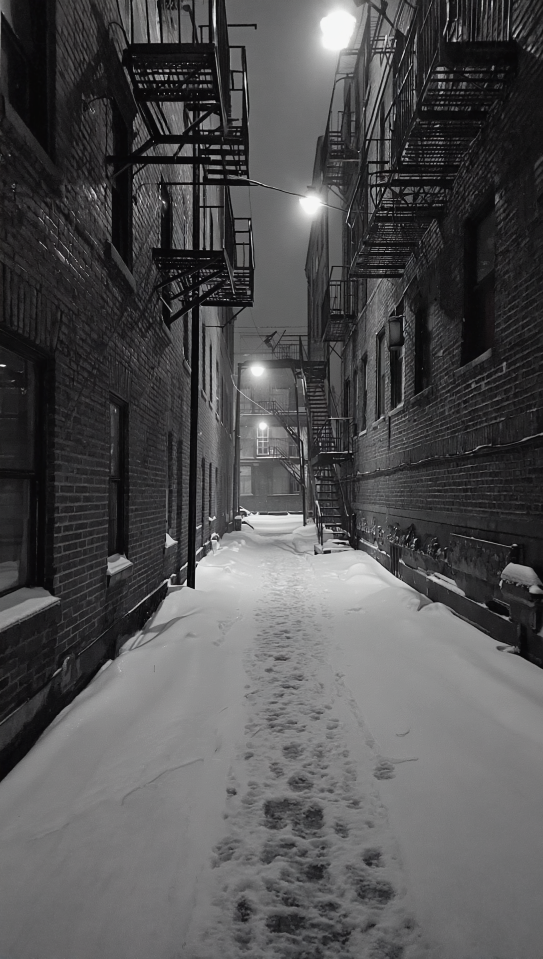 Your downloads collection