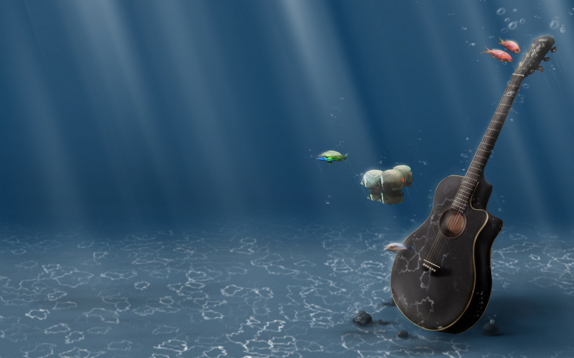 Wallpapers pond guitar fish on the desktop