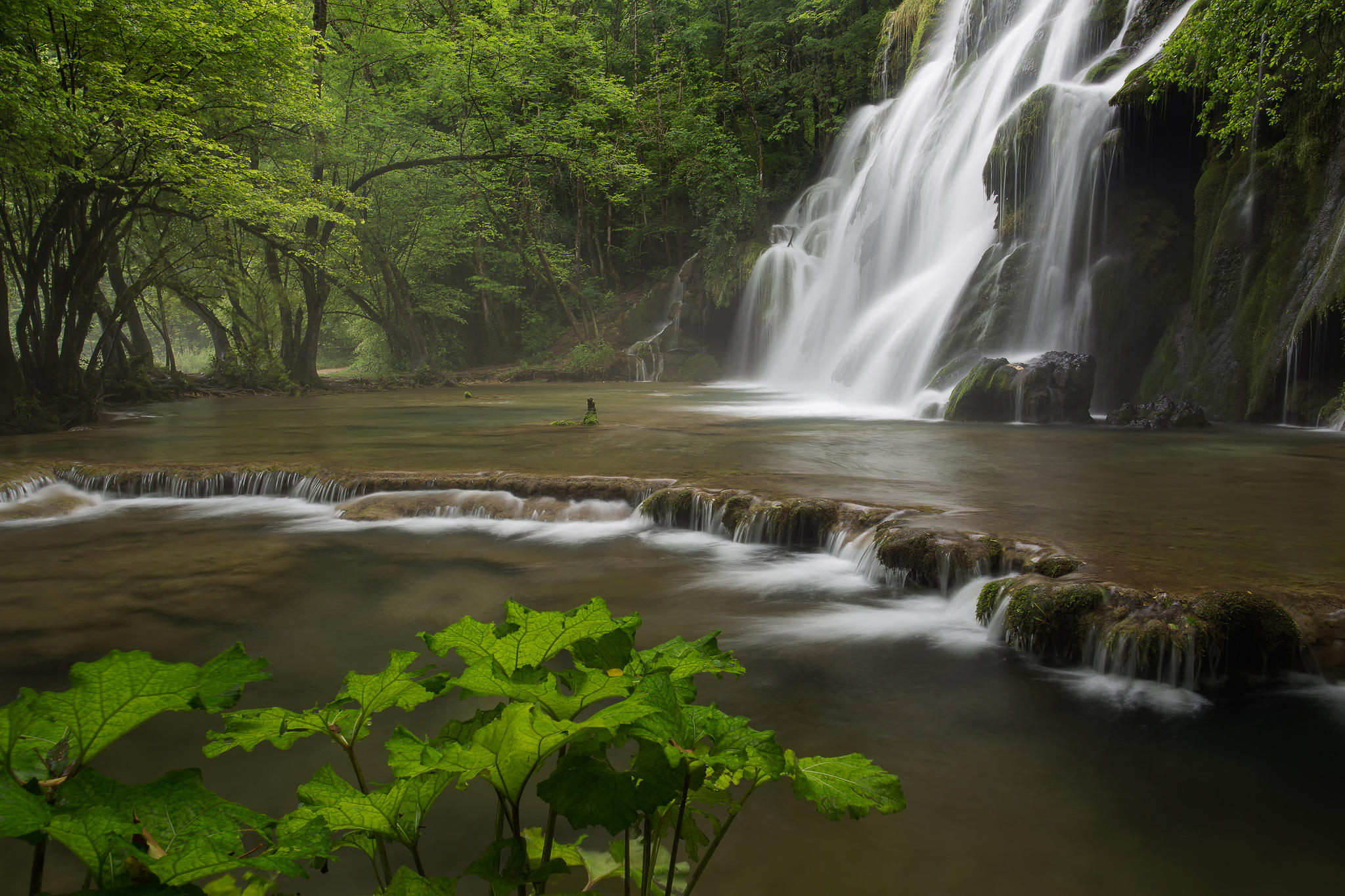 Wallpapers waterfall pond trees on the desktop