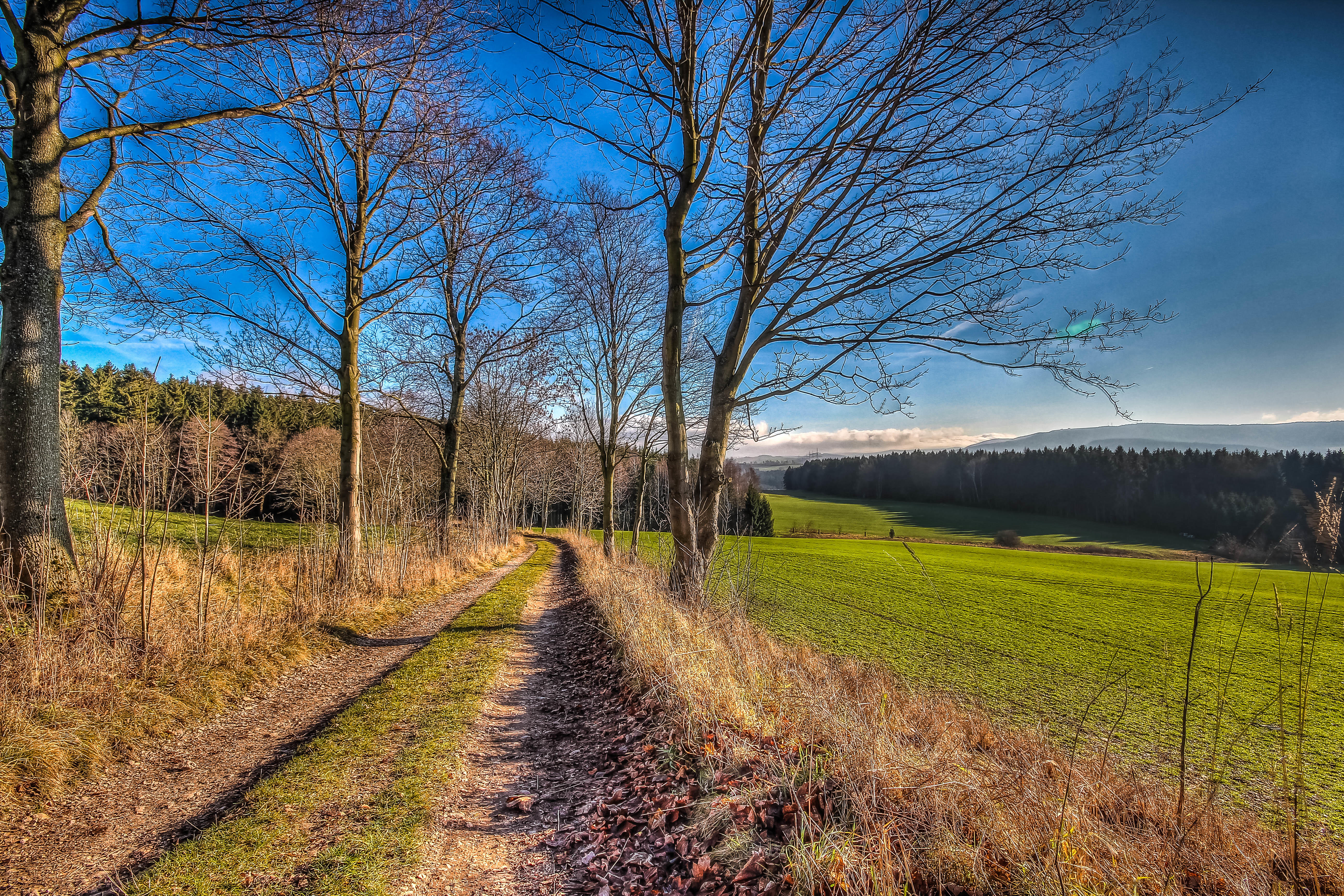 Wallpapers field road trail on the desktop