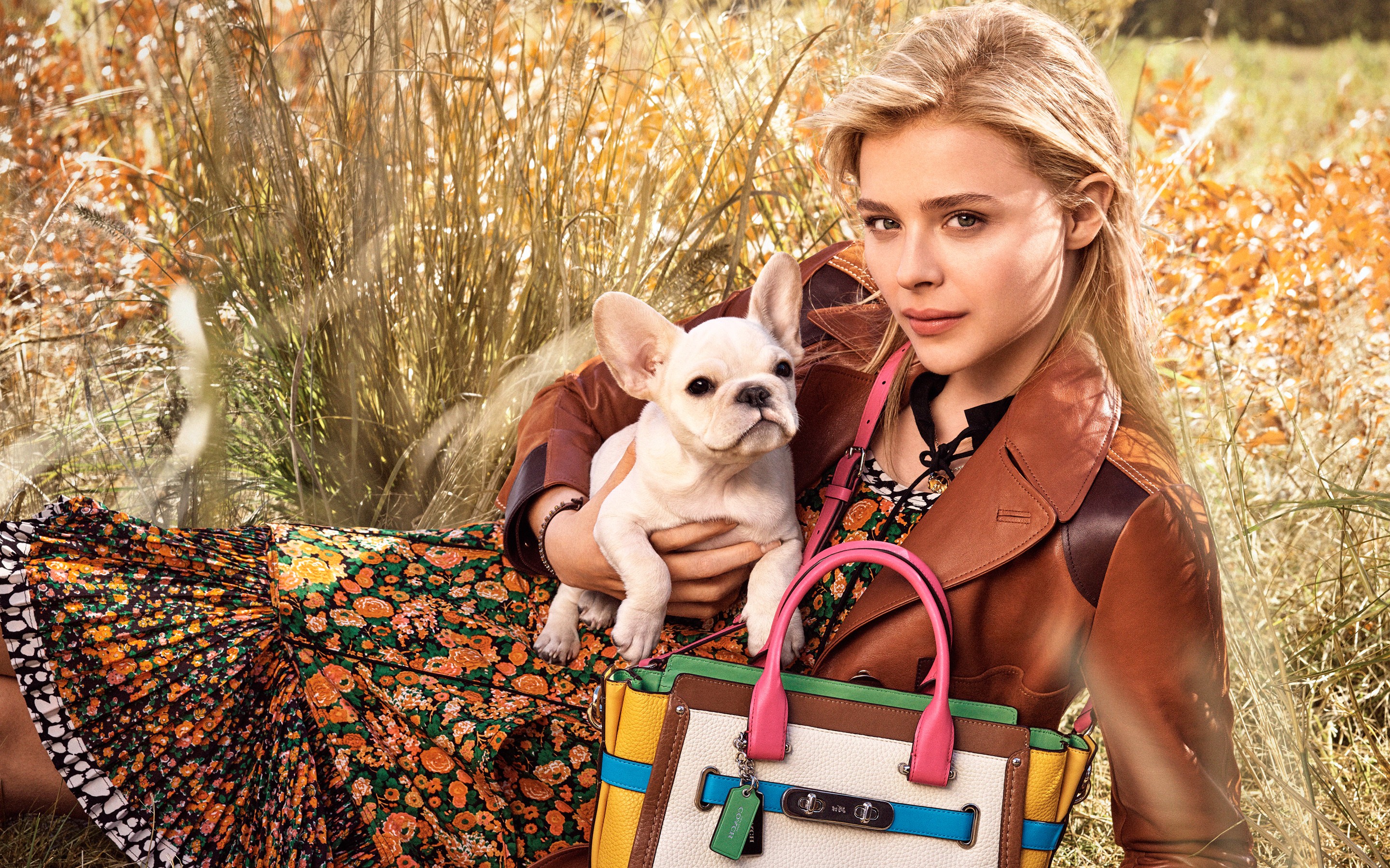 Wallpapers Chloe Moretz celebrities doggie on the desktop