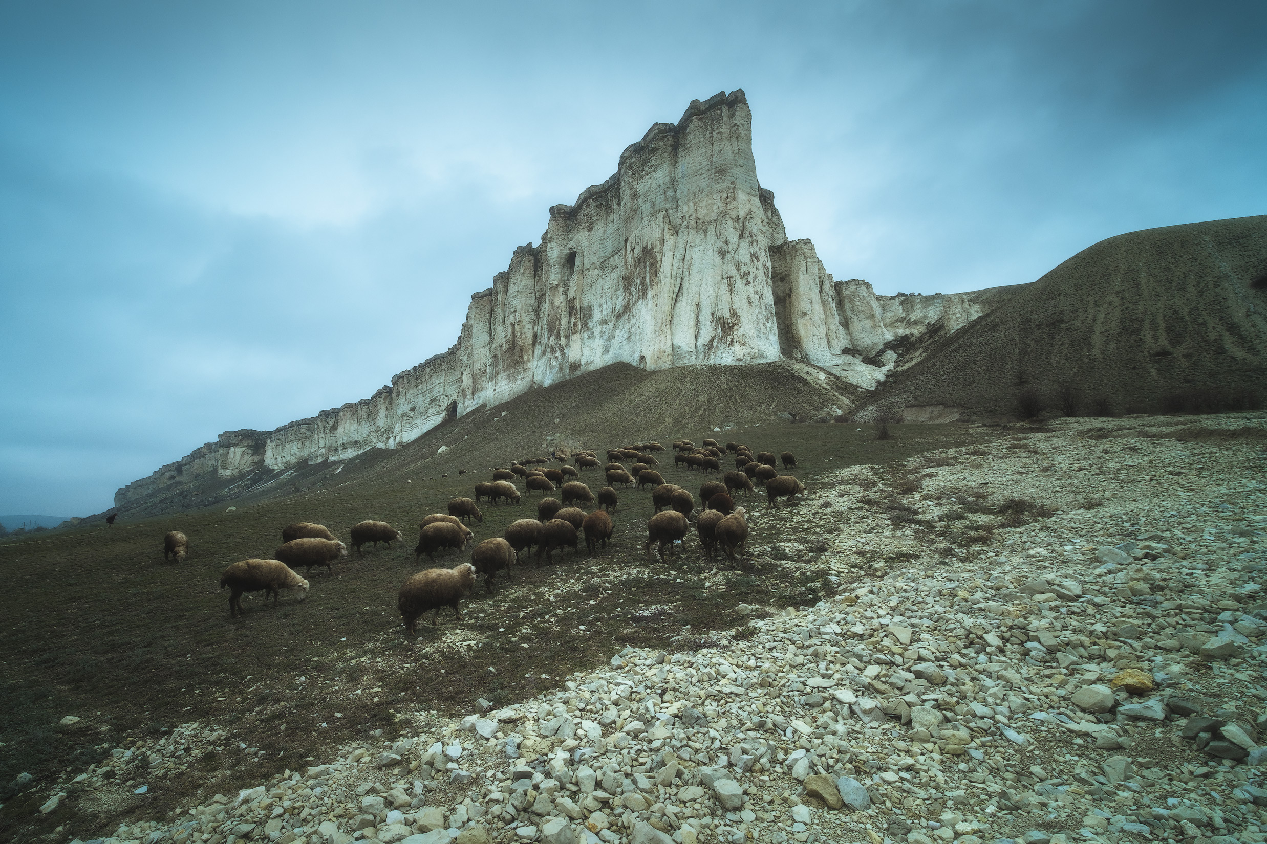 Free photo A flock of sheep at the foot of White Rock