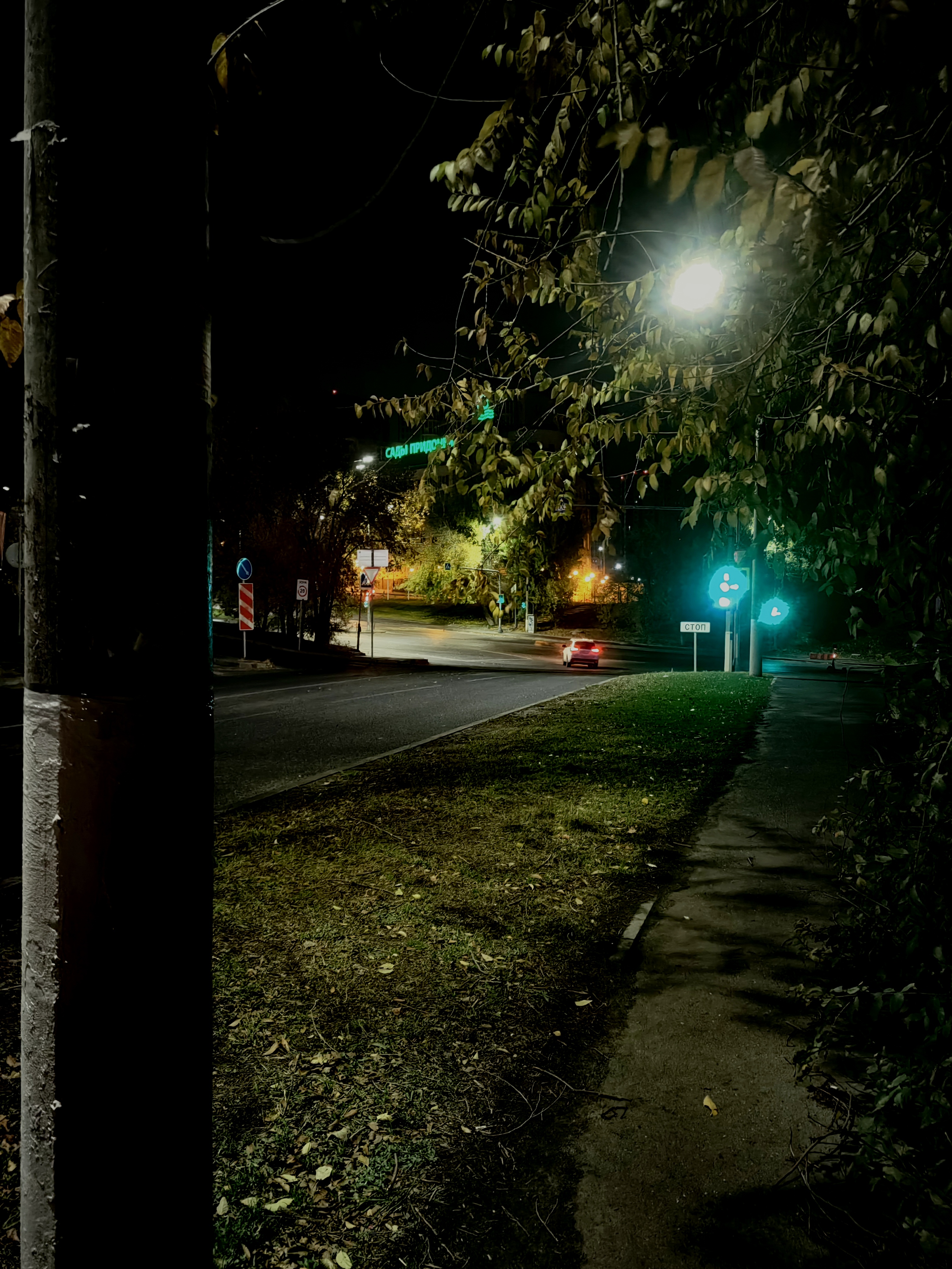 Волгоградский вечер