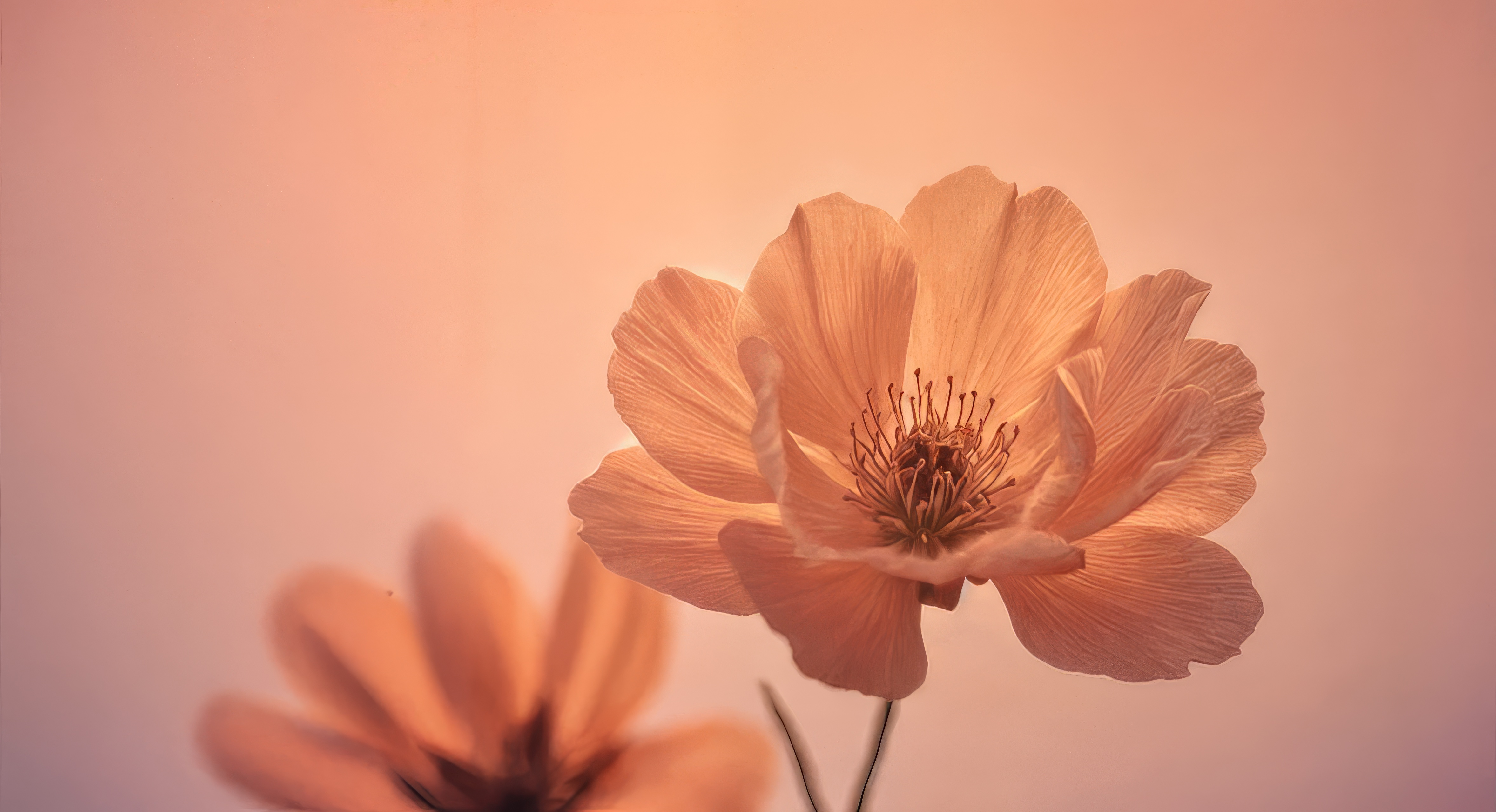 There are two flowers in a vase that are sitting on a table