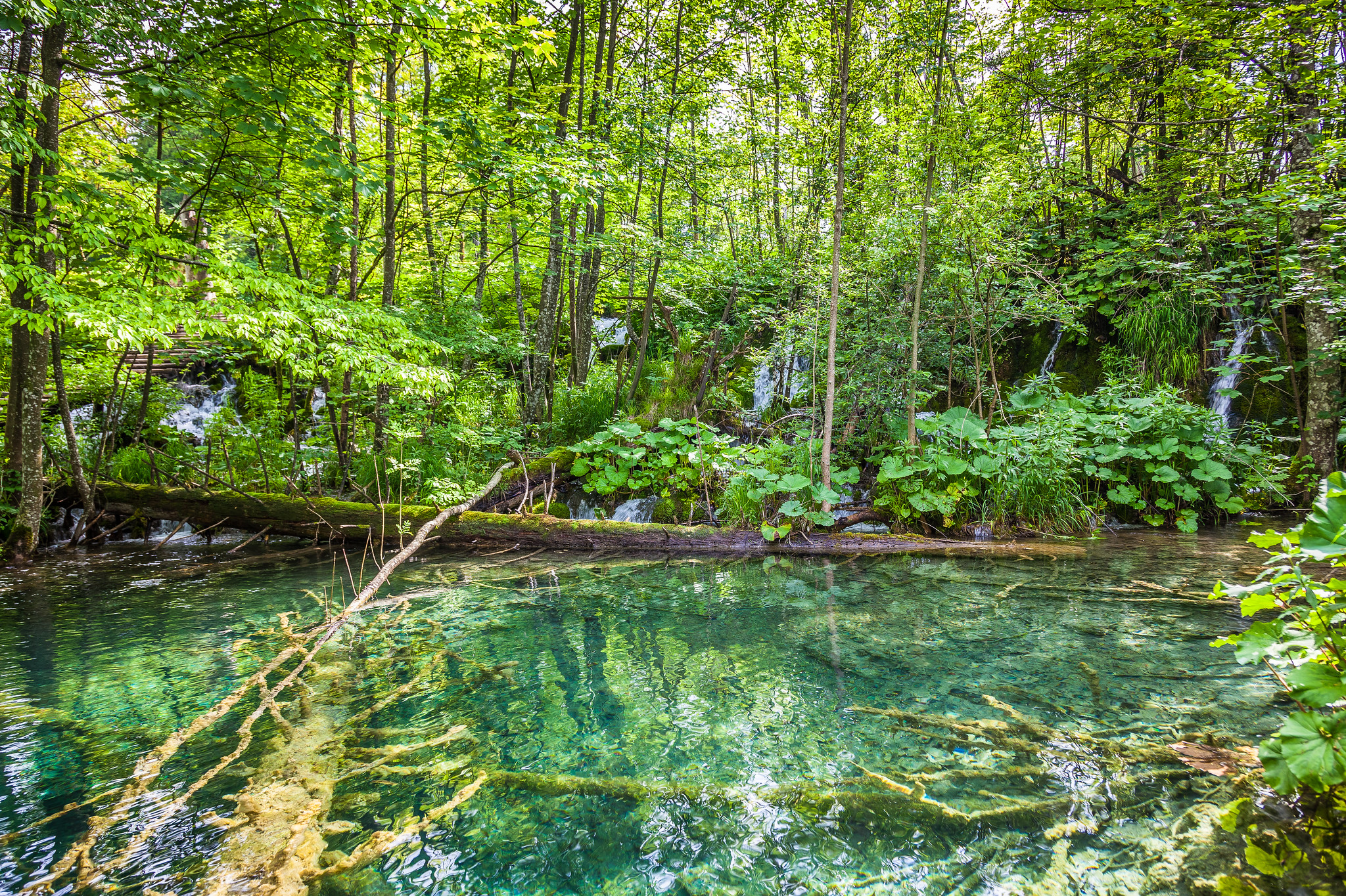 Wallpapers Plitvice lakes national park landscapes blue water on the desktop