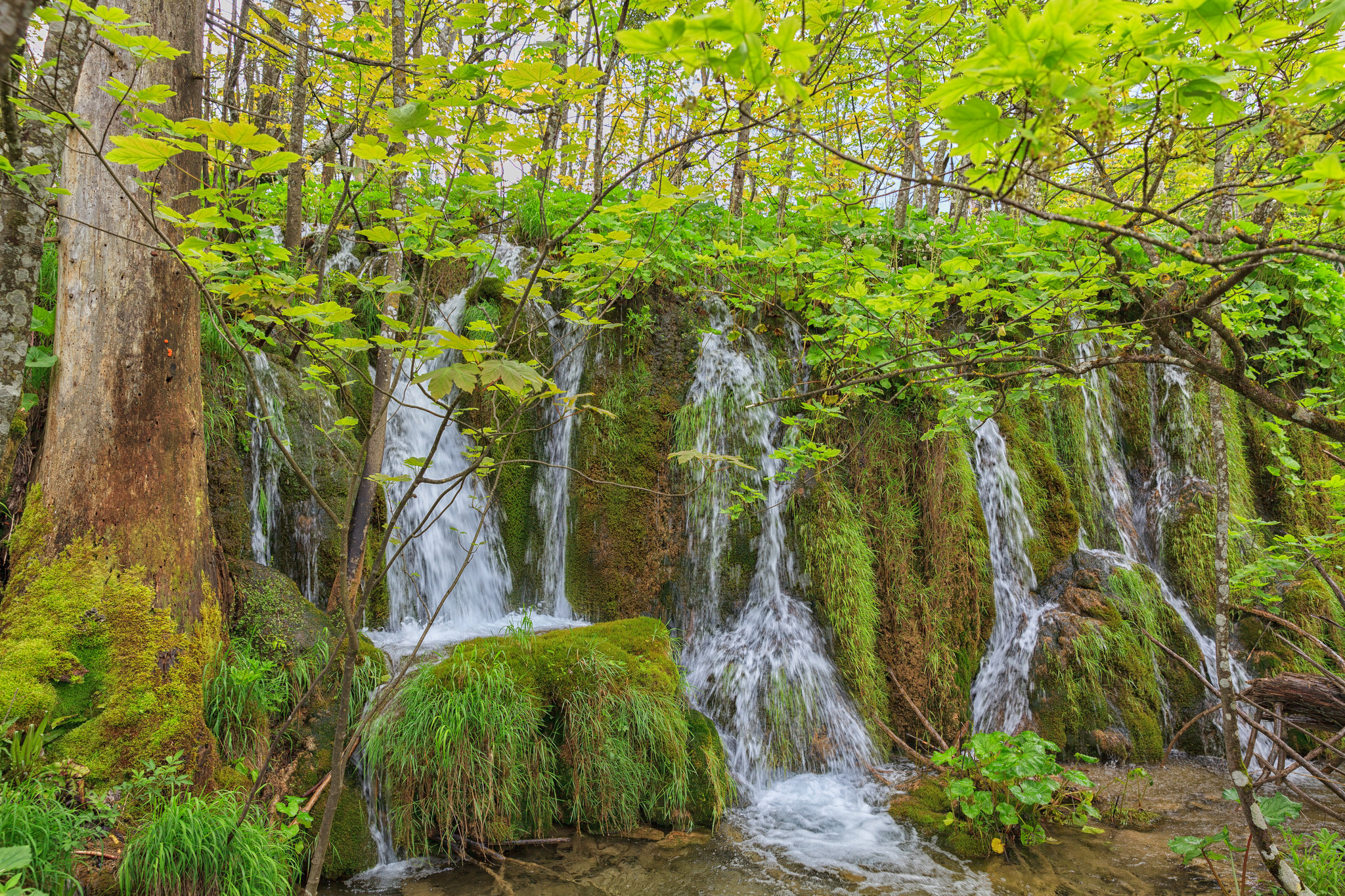 Free photo Little waterfalls