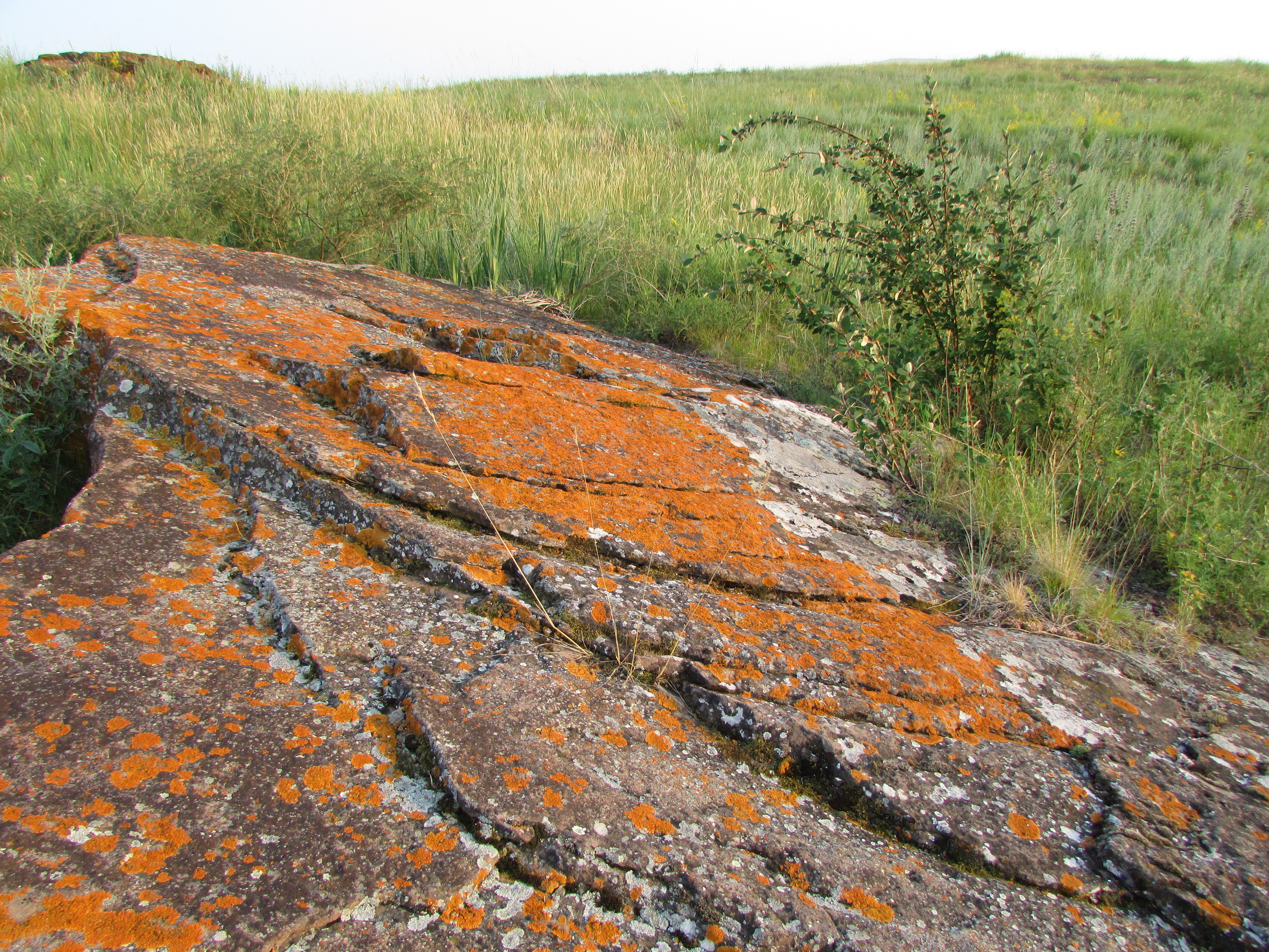 Orange-white boulder on the background of steppe grasses in Khakassia
