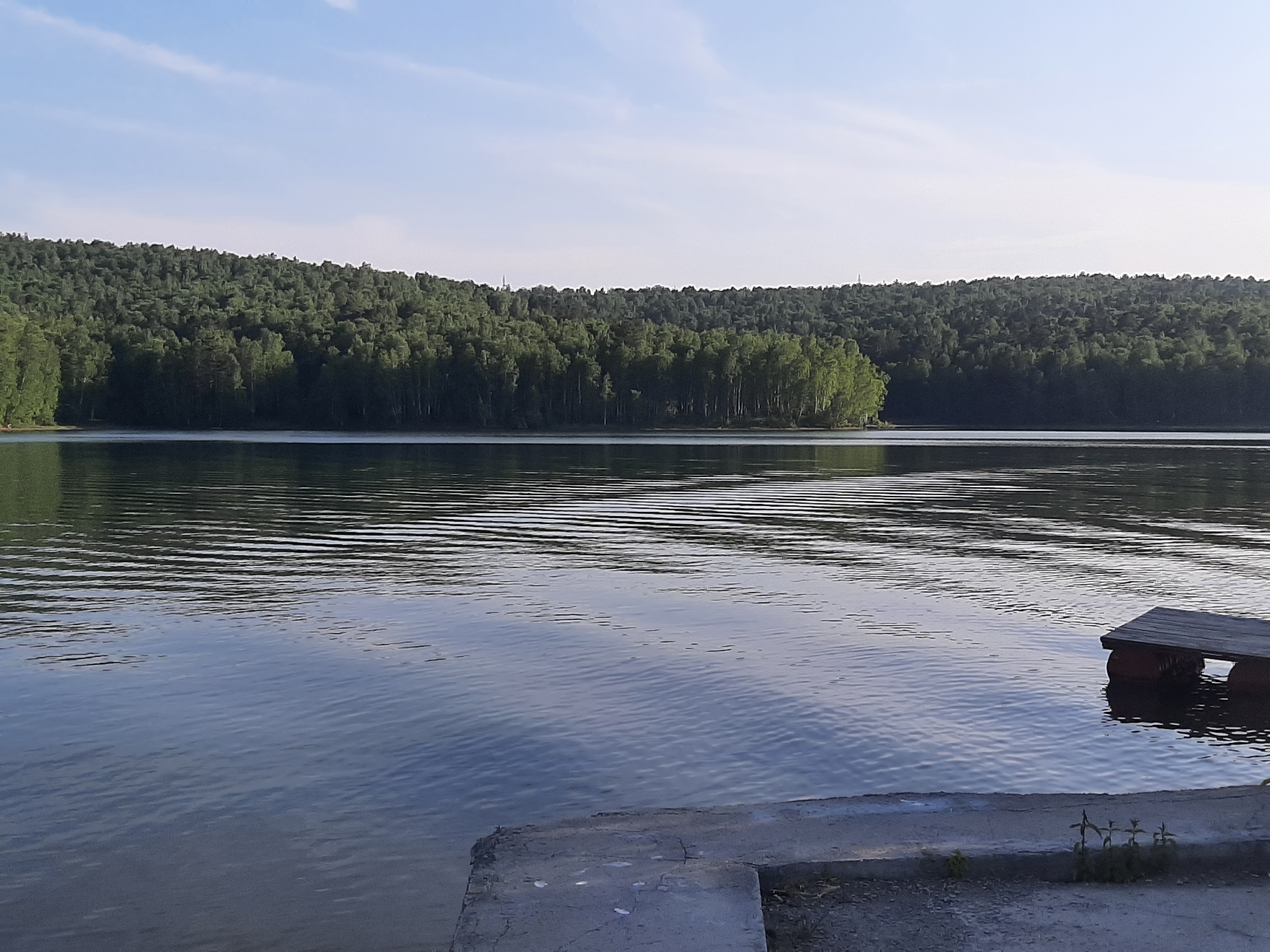 Бесплатное фото Густой лес на побережье реки Лена