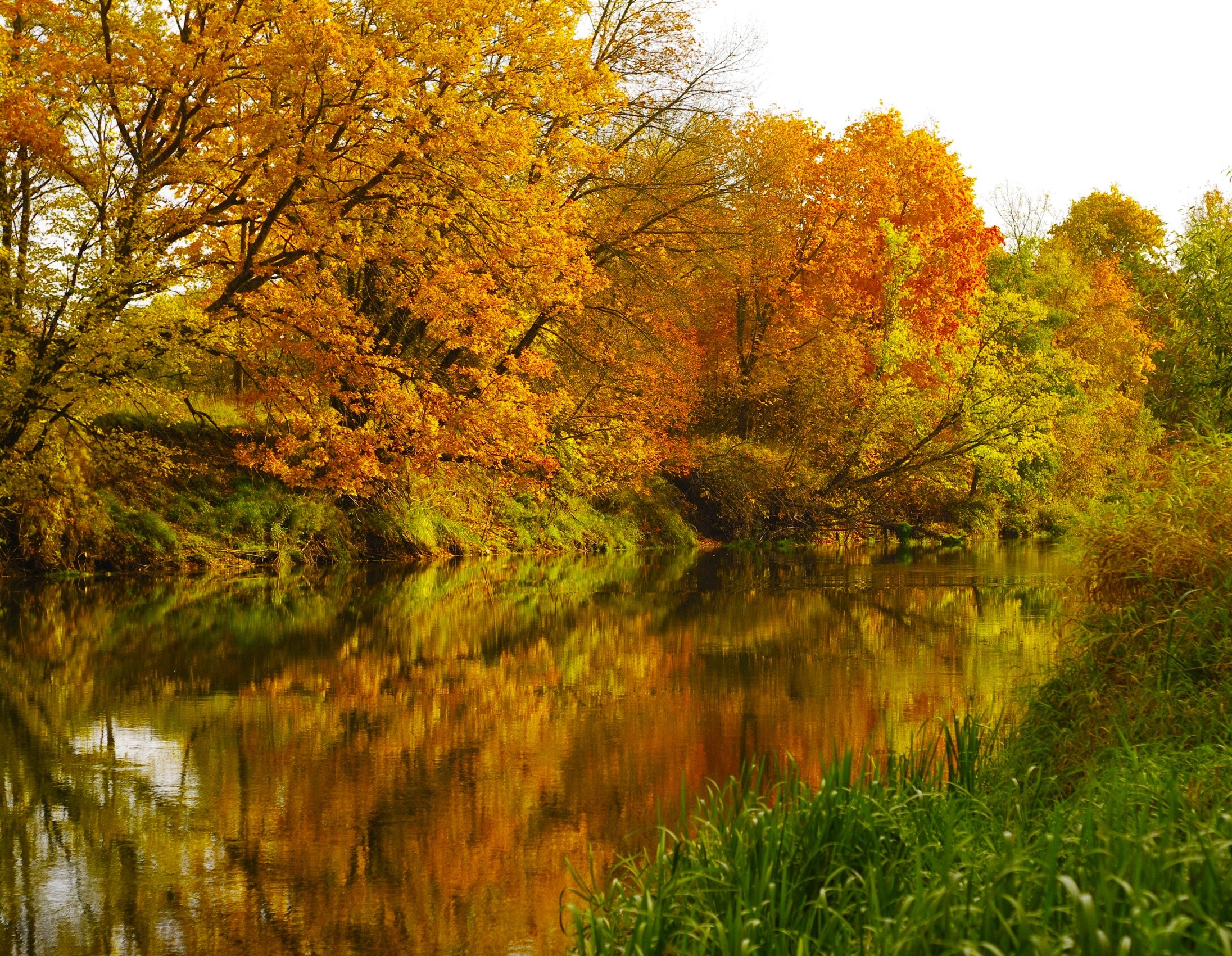 秋天的自由，照片河热