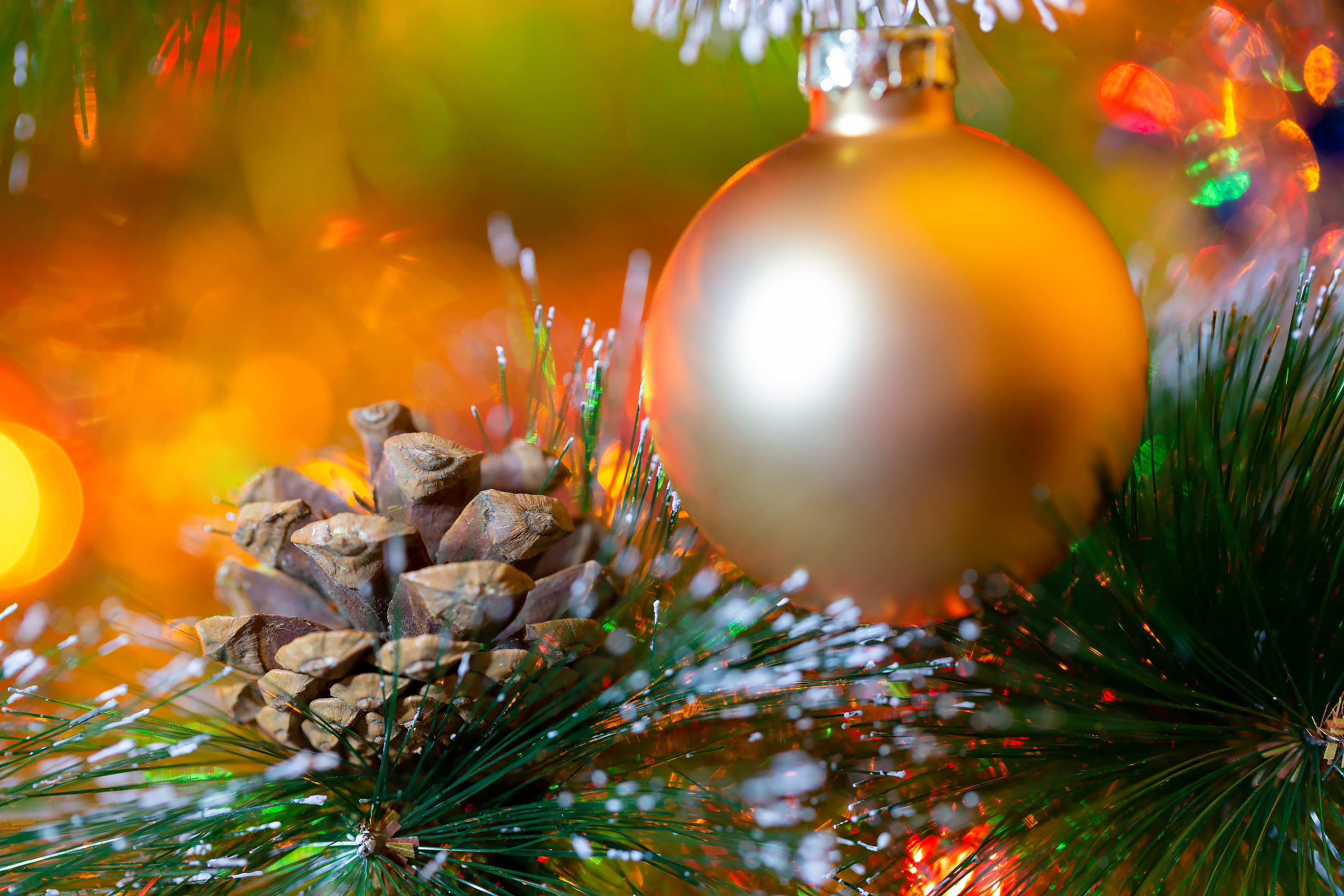 Бесплатное фото Новогодний шарик и шишка на ёлке