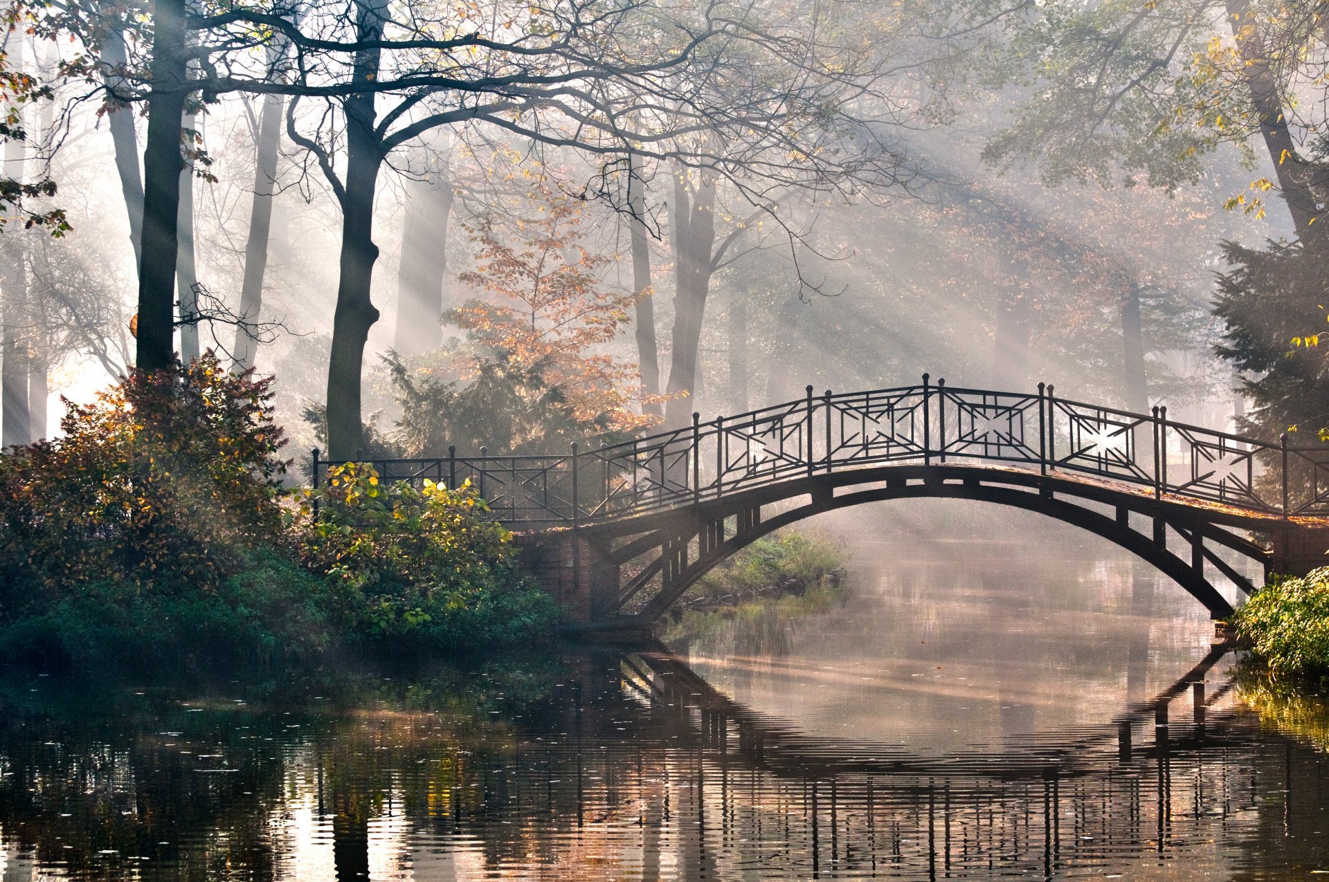 Free photo A bridge in the woods.