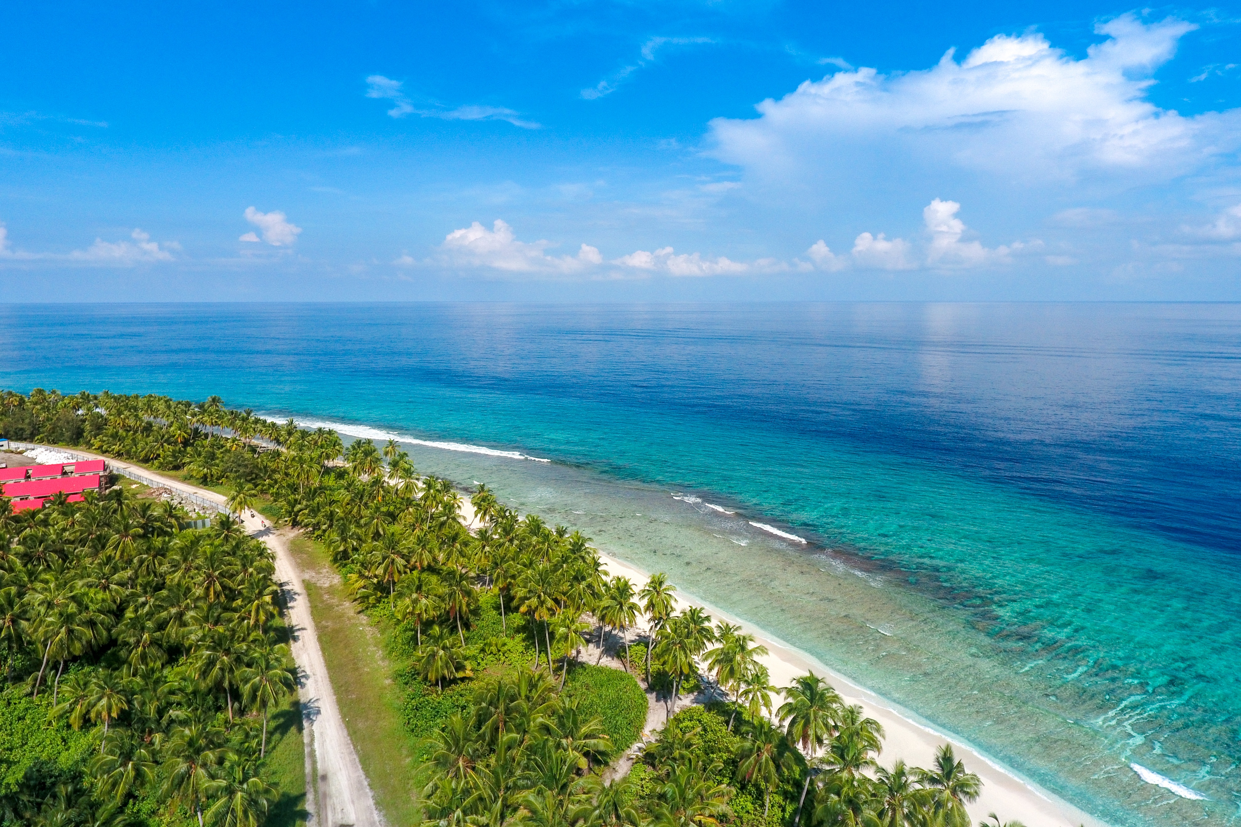 Free photo Beautiful beach with palm trees photographed from a quadcopter