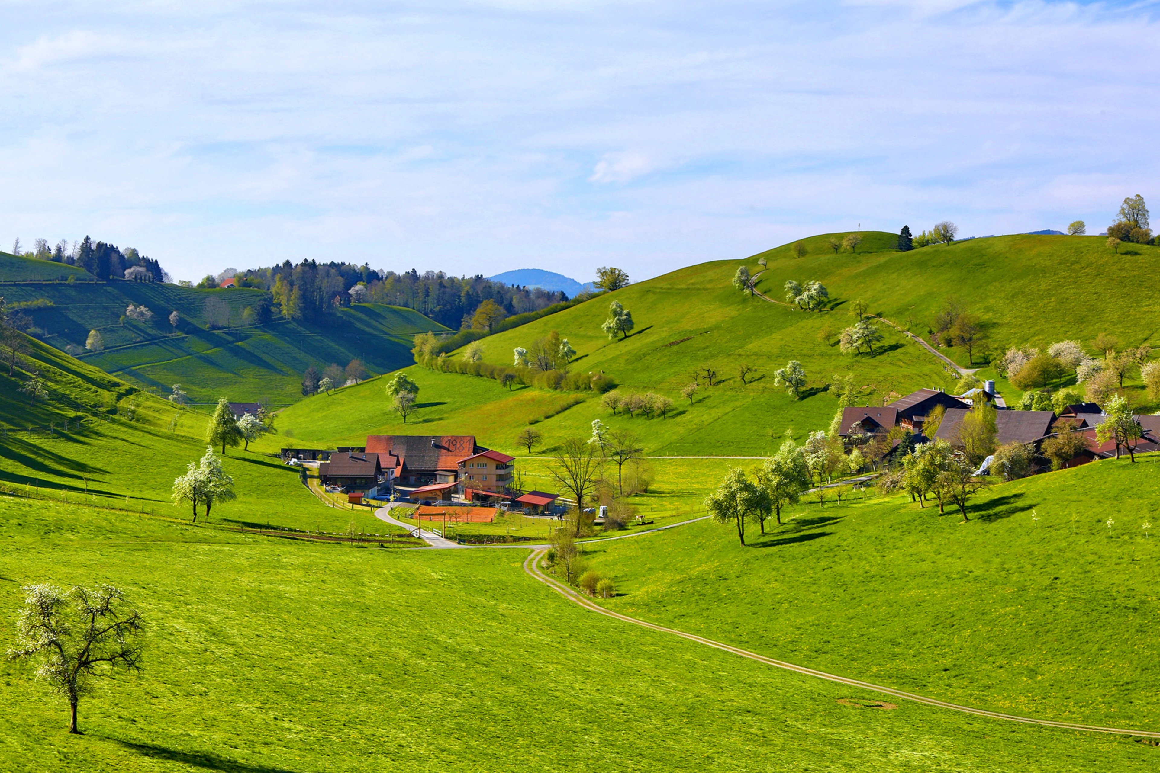 Wallpapers beauty farm grass on the desktop