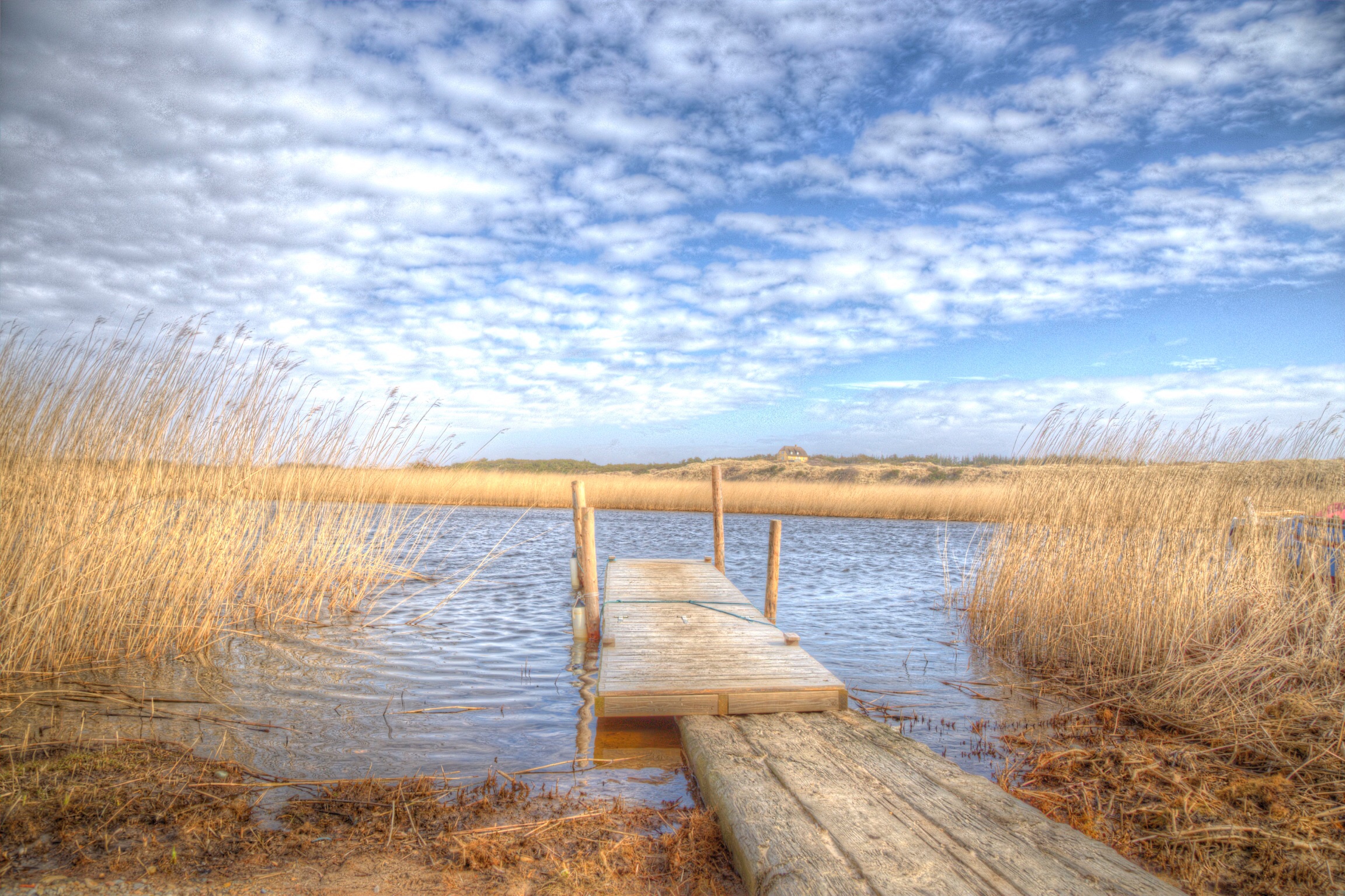 Wallpapers tree beach rural areas on the desktop