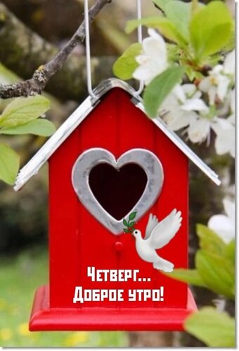 Открытка на тему четверг доброе утро еда скачать бесплатно