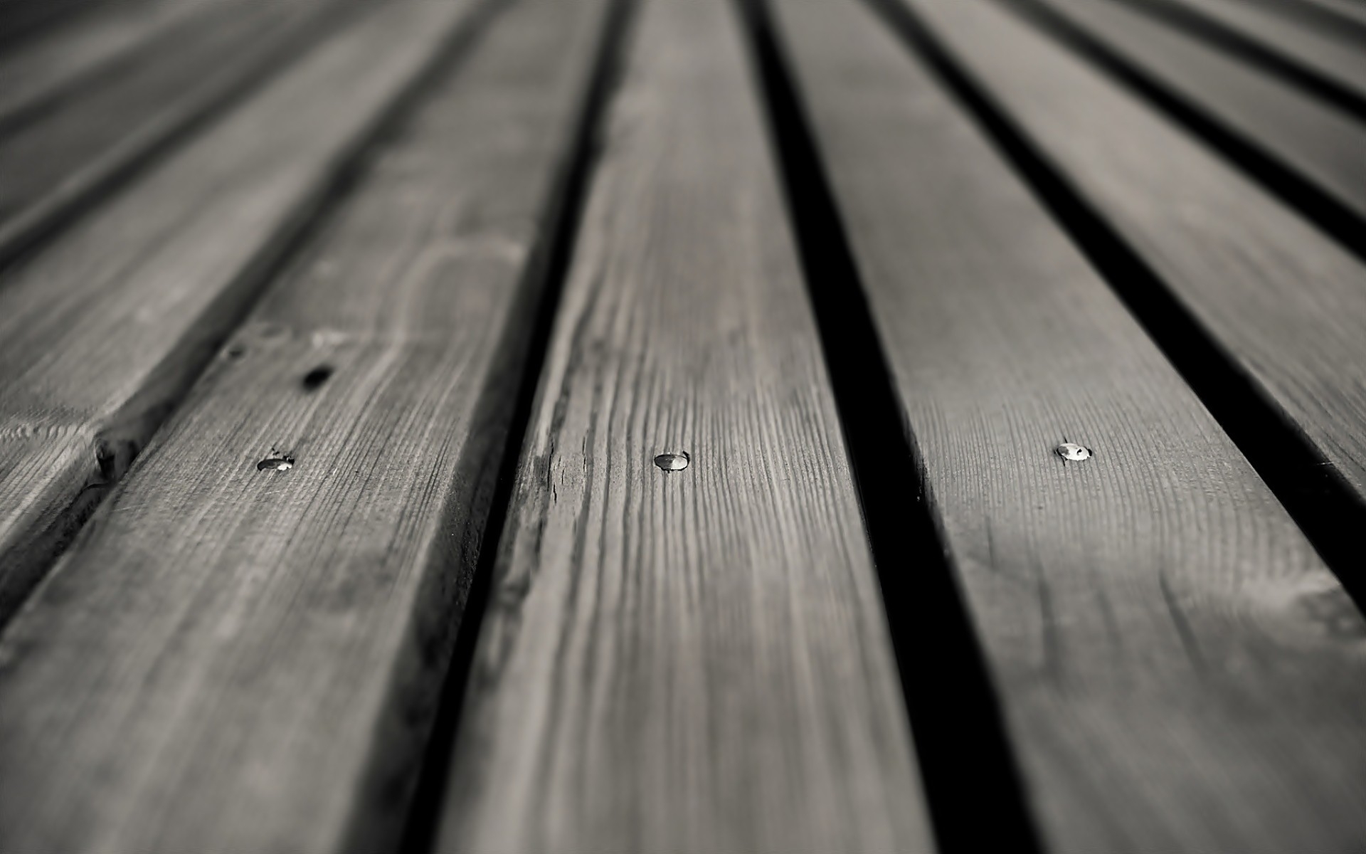 桌面上的壁纸木地板 长凳 黑白