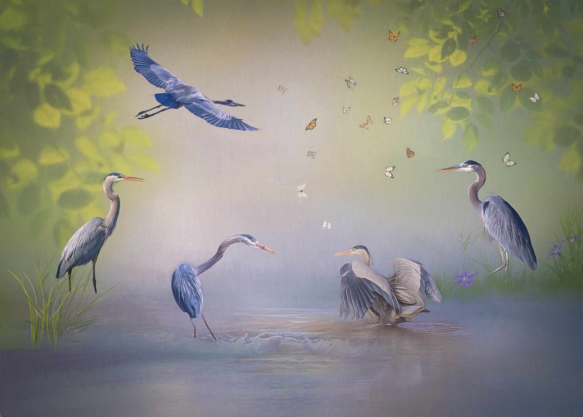 Wallpapers herons birds butterflies on the desktop