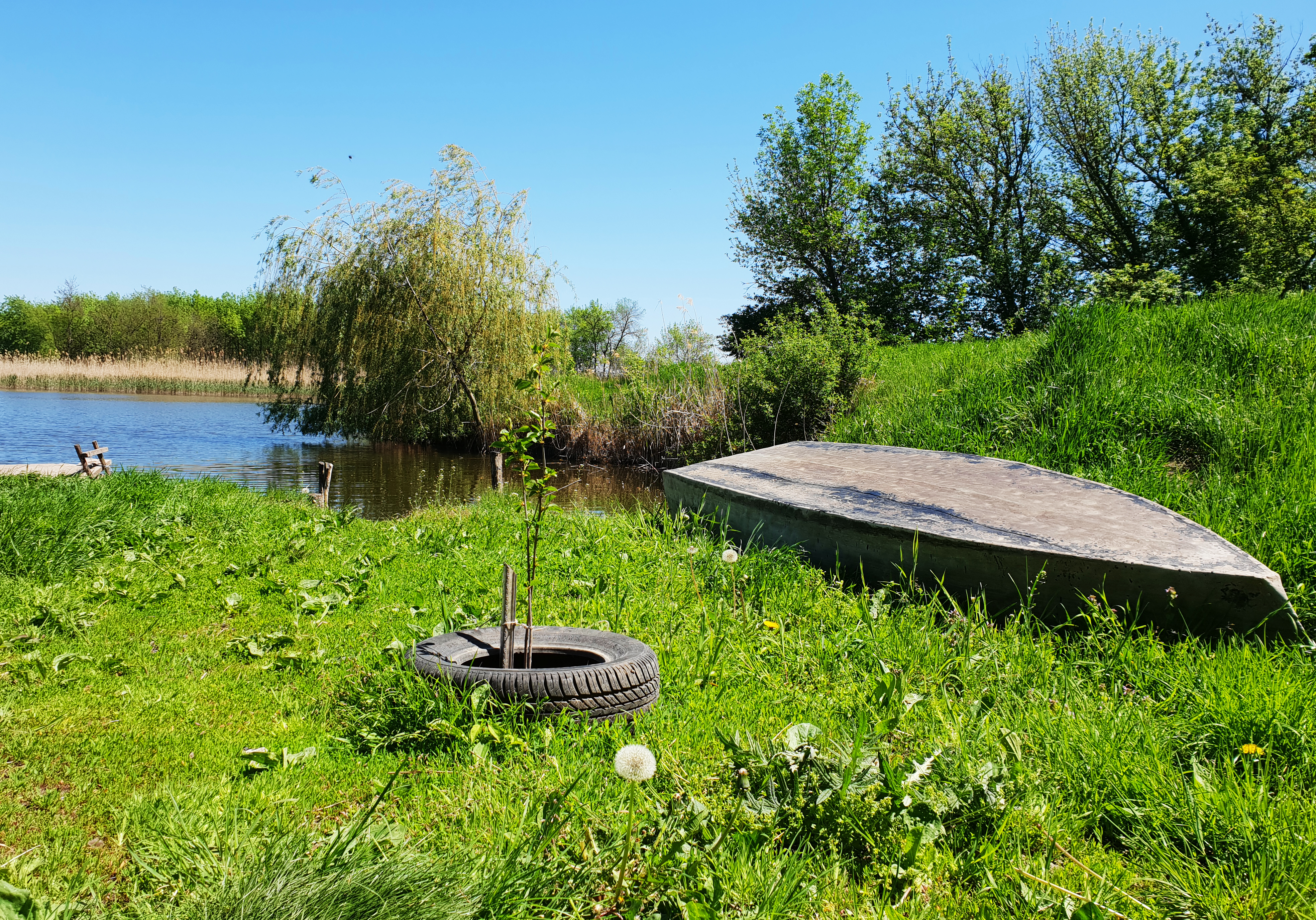 Free photo Kuban is bright