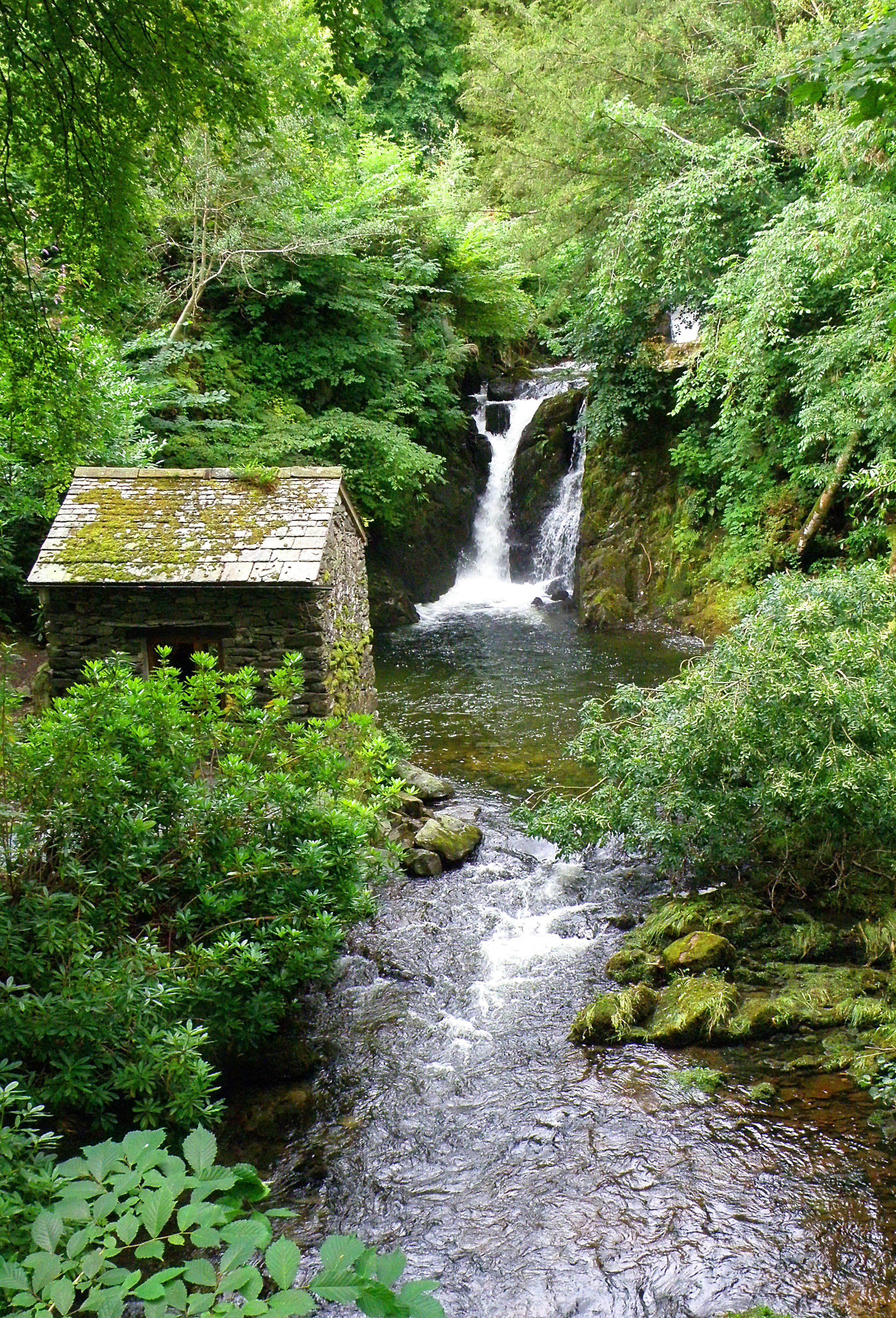 Free photo Abandoned cabin by the creek