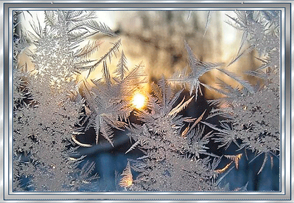 Открытка на тему зимние узоры пруд удачного дня скачать бесплатно