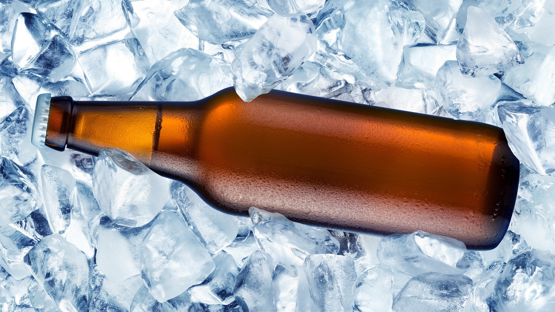 免费照片一瓶装在冰块里的啤酒