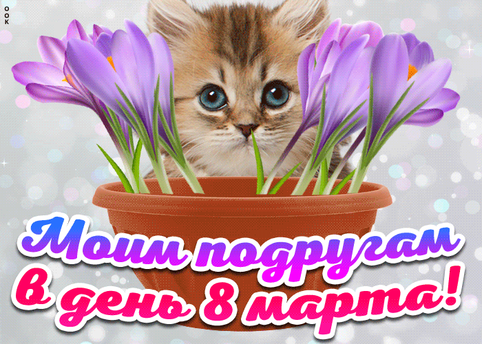 Postcard on the theme to my girlfriends on march 8 holidays kitten download for free