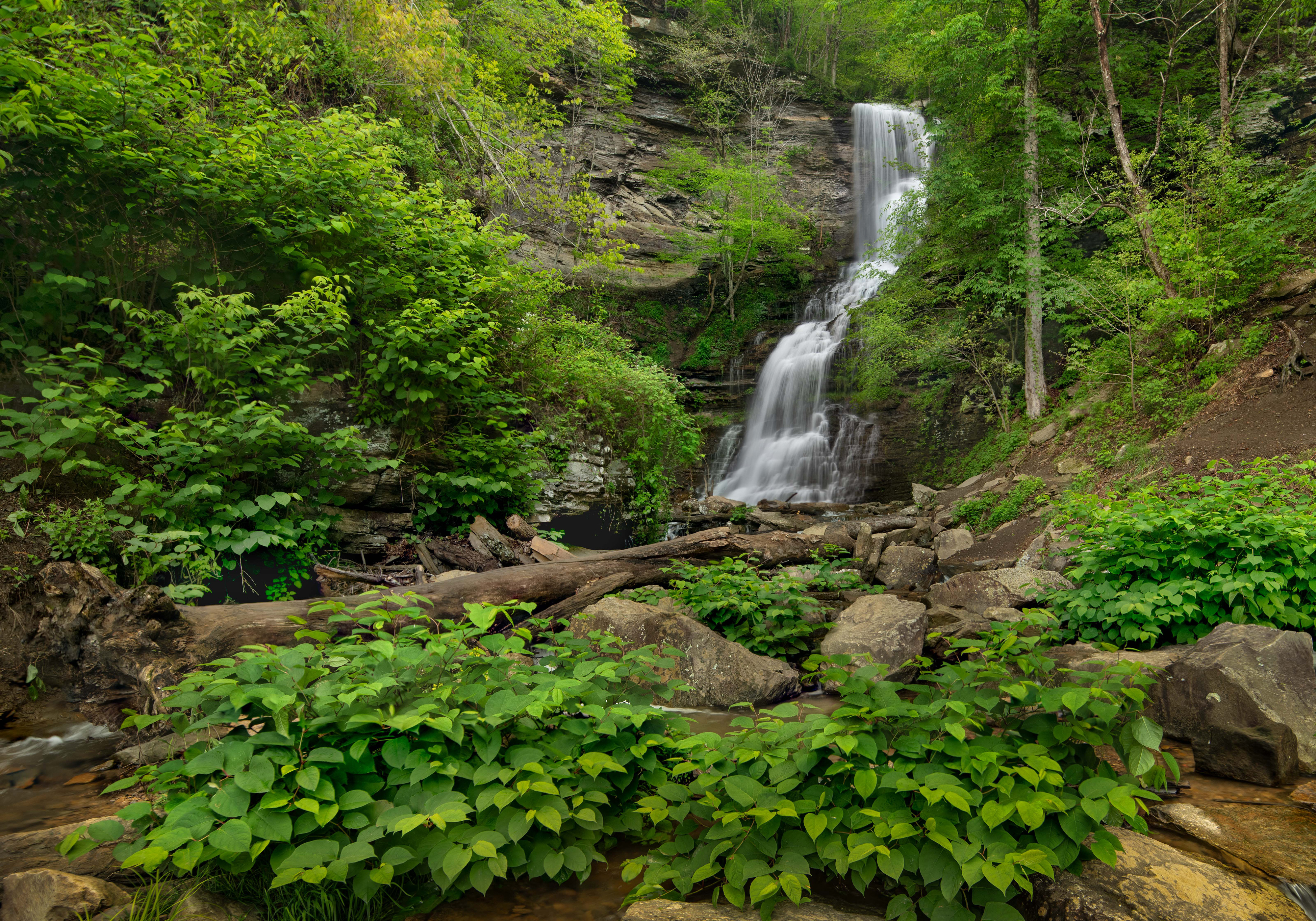 Wallpapers parks waterfalls rocks waterfalls parks on the desktop