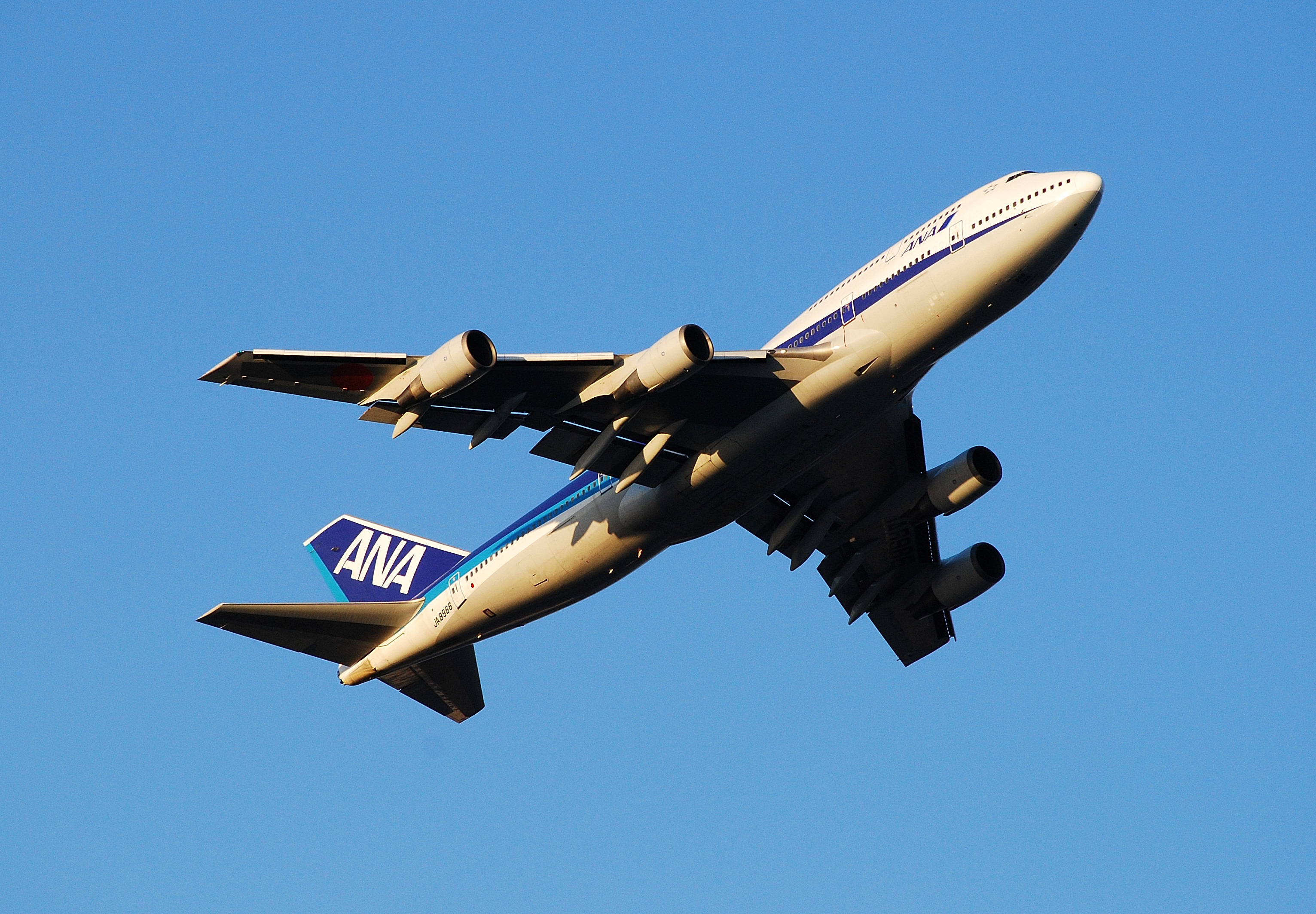 Wallpapers wing plane jet on the desktop