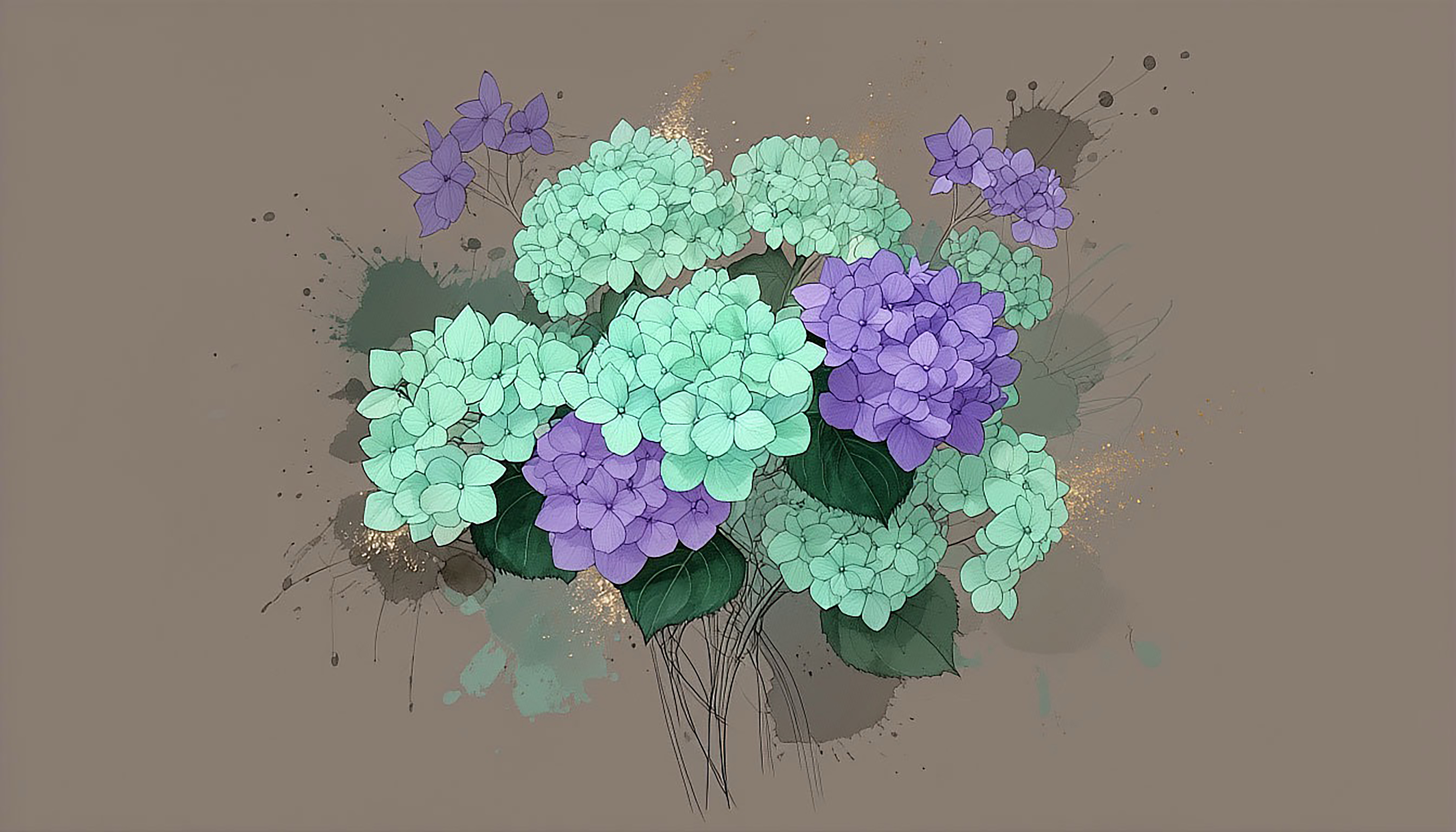 免费照片绣球花束