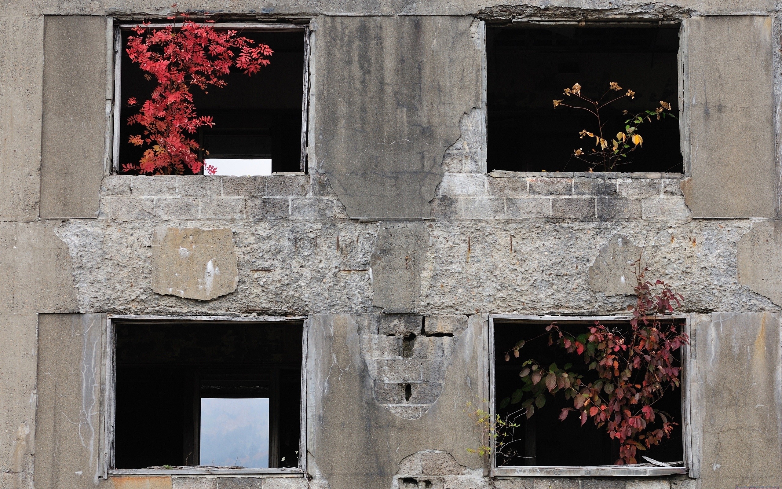 Обои Windows здание уничтожен на рабочий стол