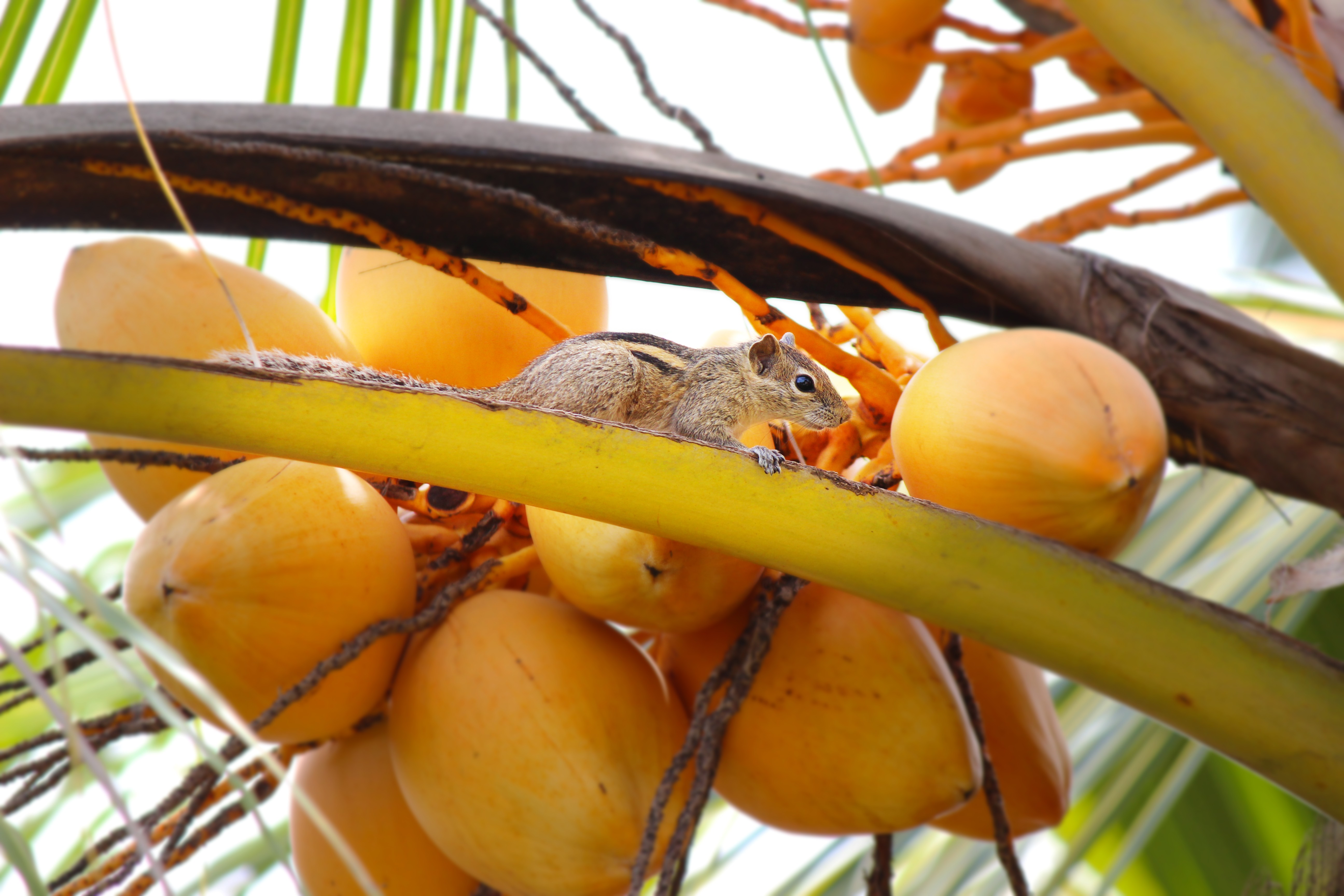 Рабочий стол