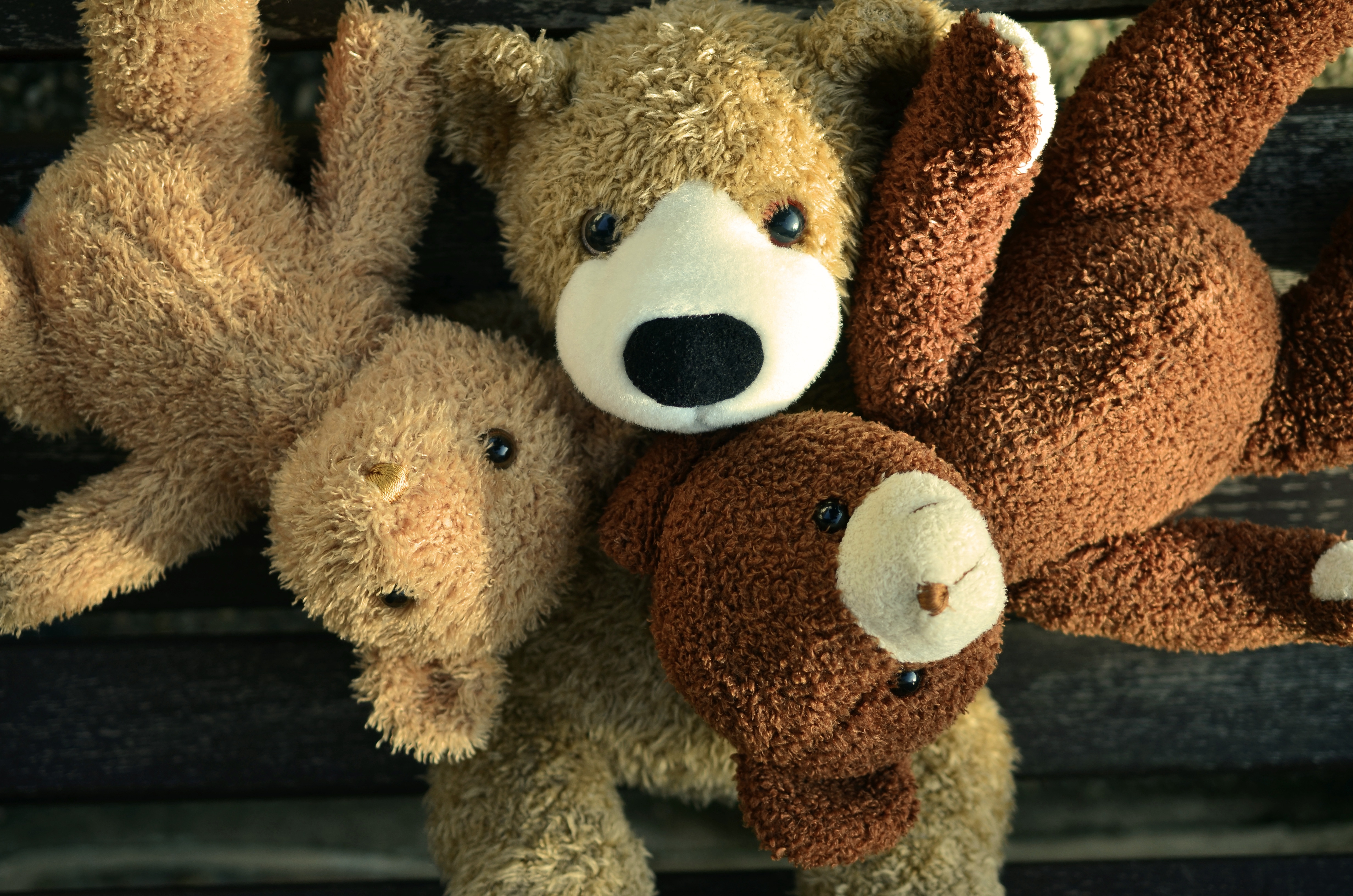 Free photo Three teddy bears lying in the group