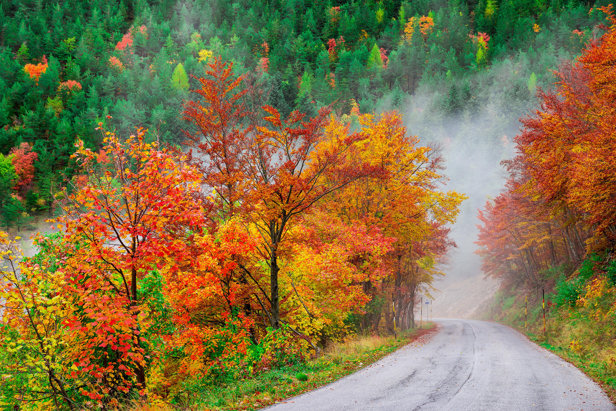 免费照片手机上的照片 景观，道路