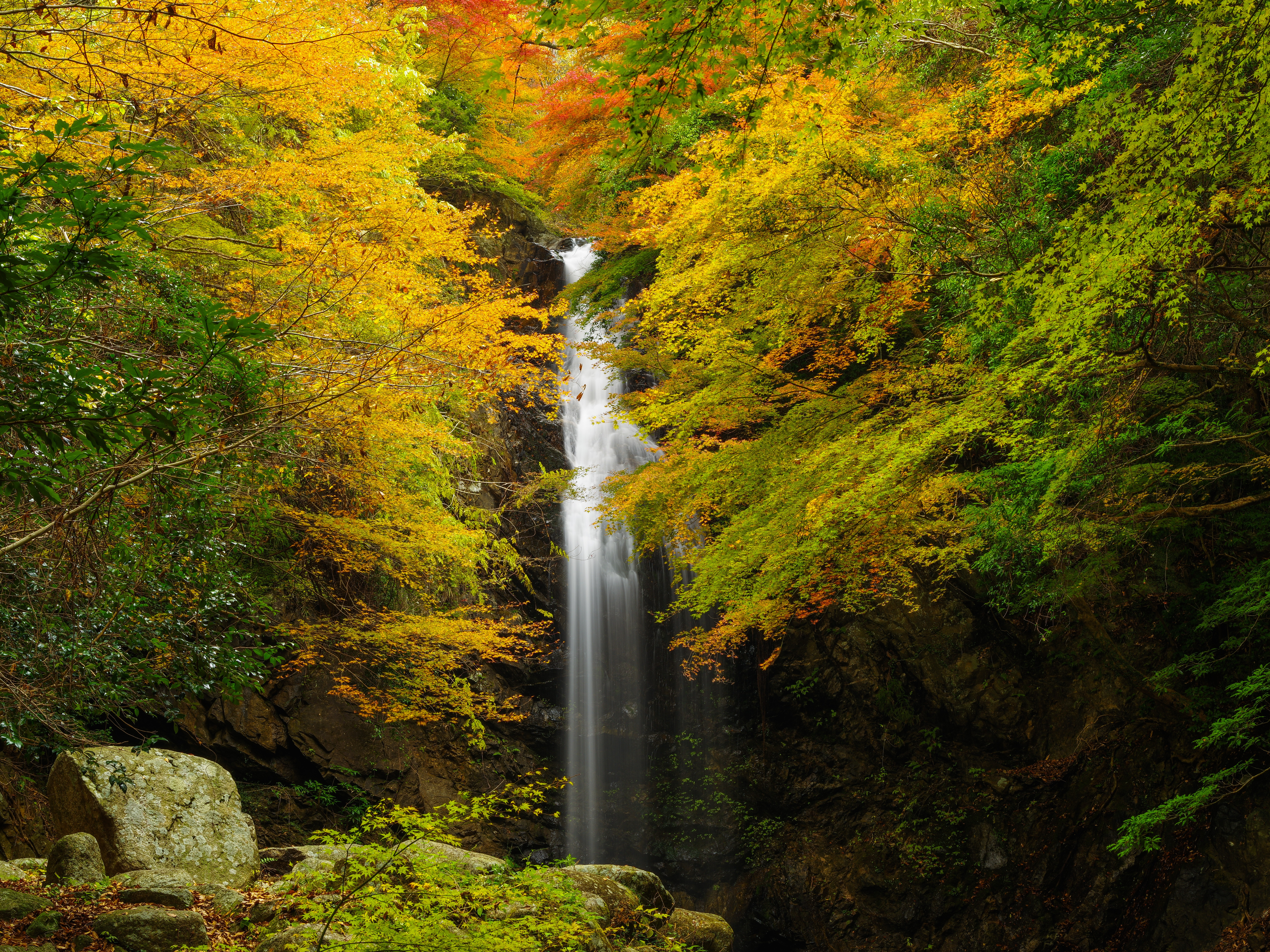 Wallpapers yellow leaves autumn waterfall on the desktop