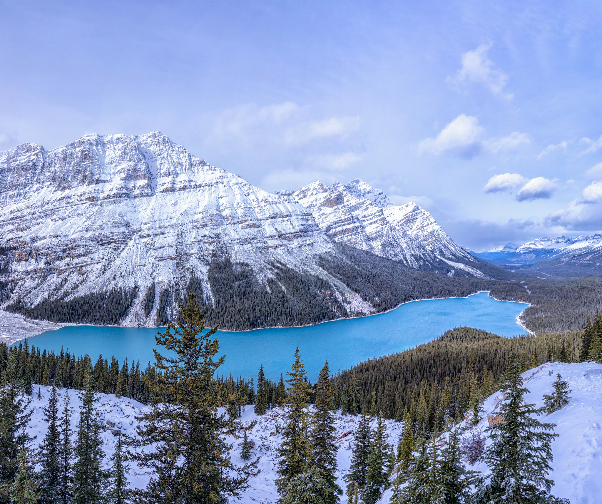 Wallpapers forest Lake Peyto lake on the desktop