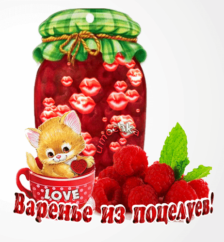 主题为卡住 亲吻 猫的明信片免费下载