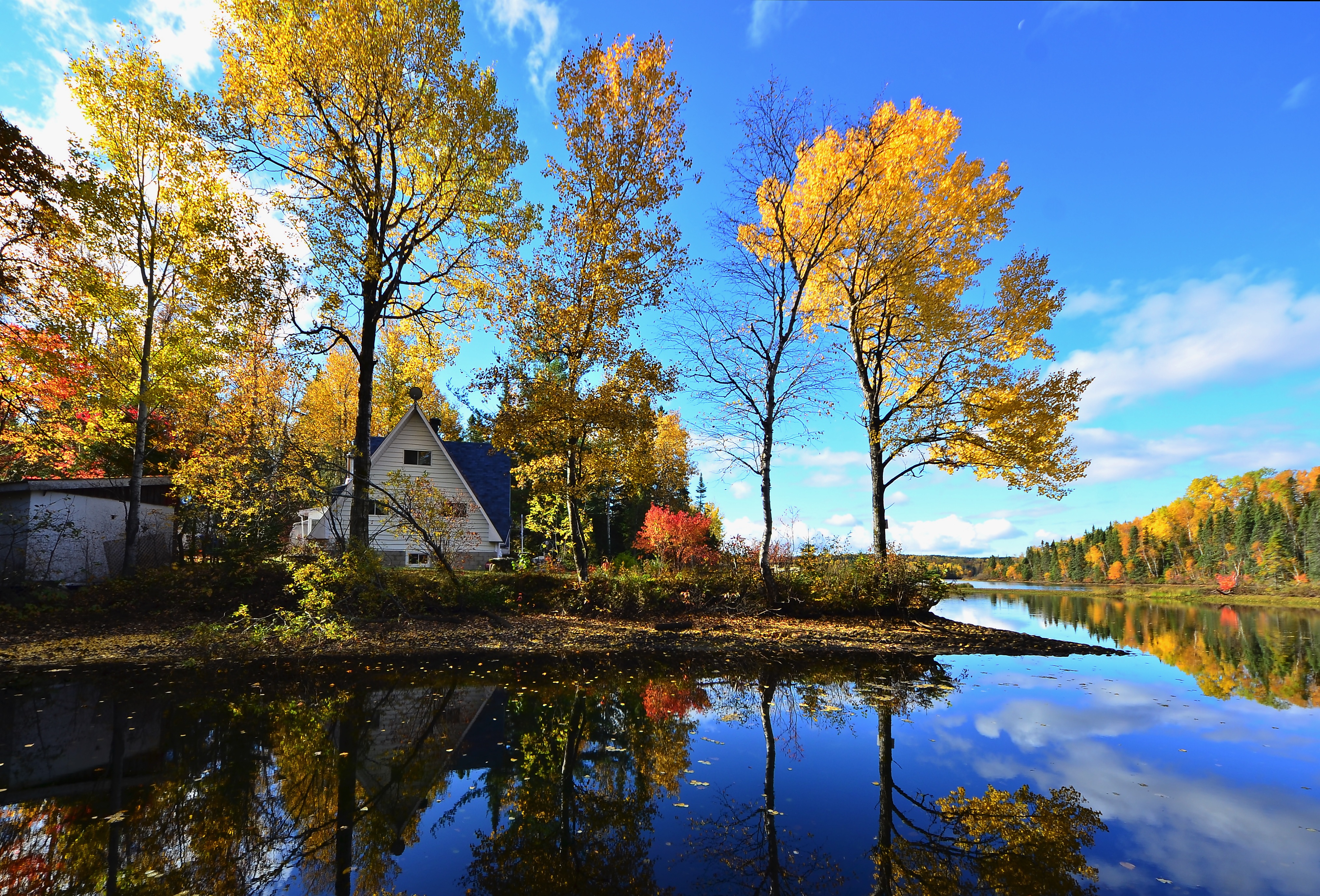 Free photo Garden on the bank of the autumn forest