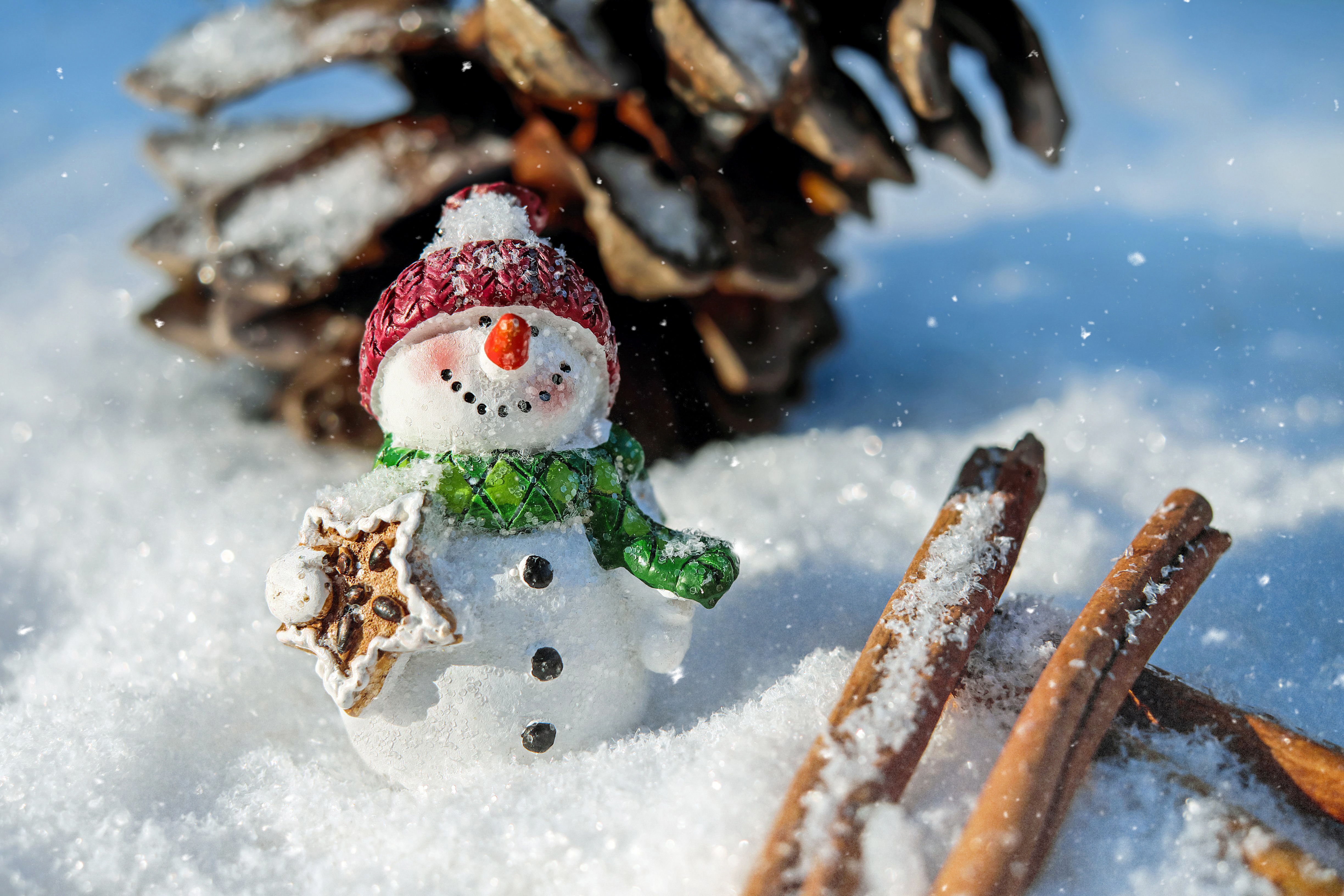 Free photo A picture of a toy snowman and cinnamon sticks