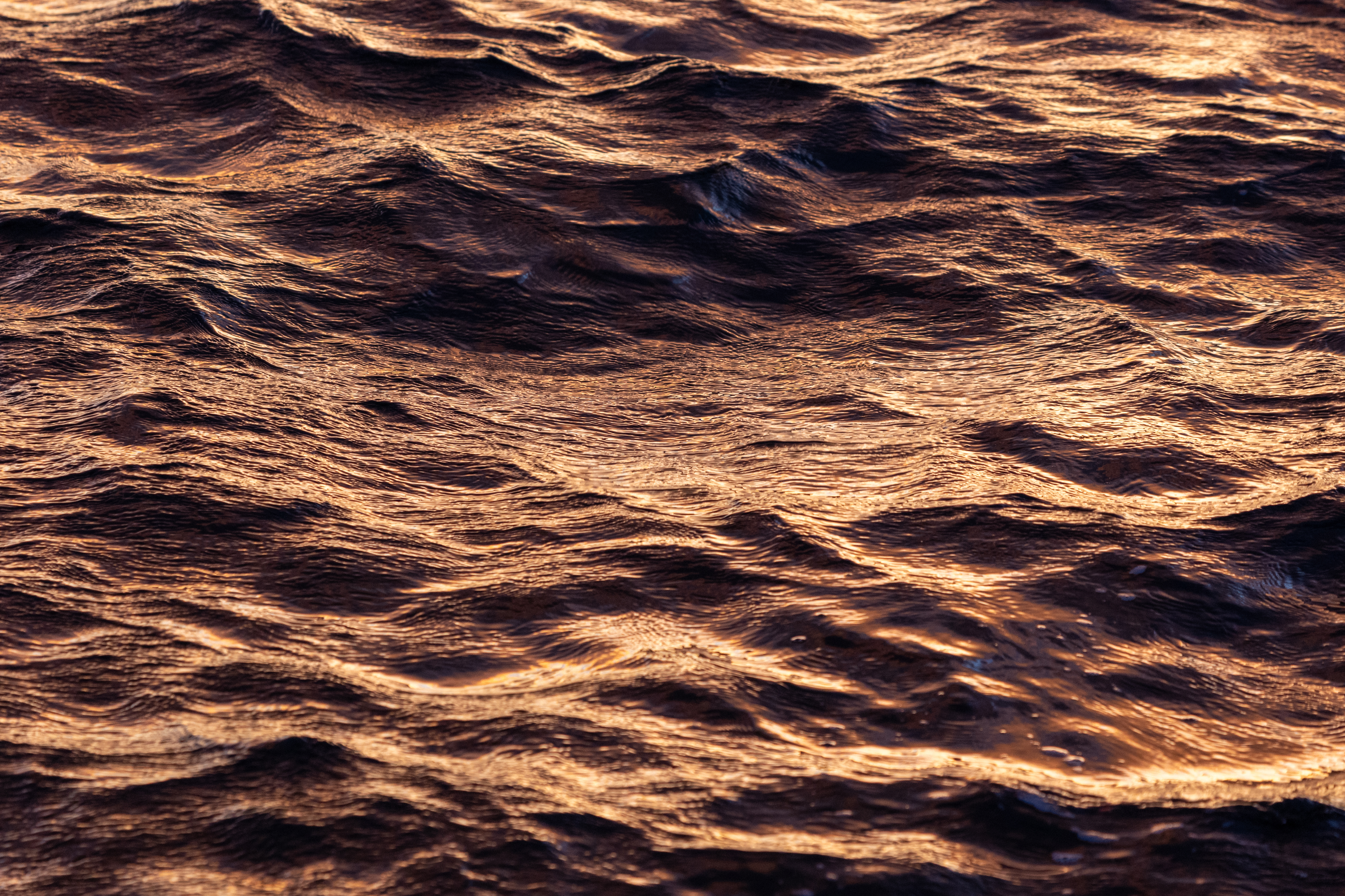Wallpapers water waves sunlight on the desktop