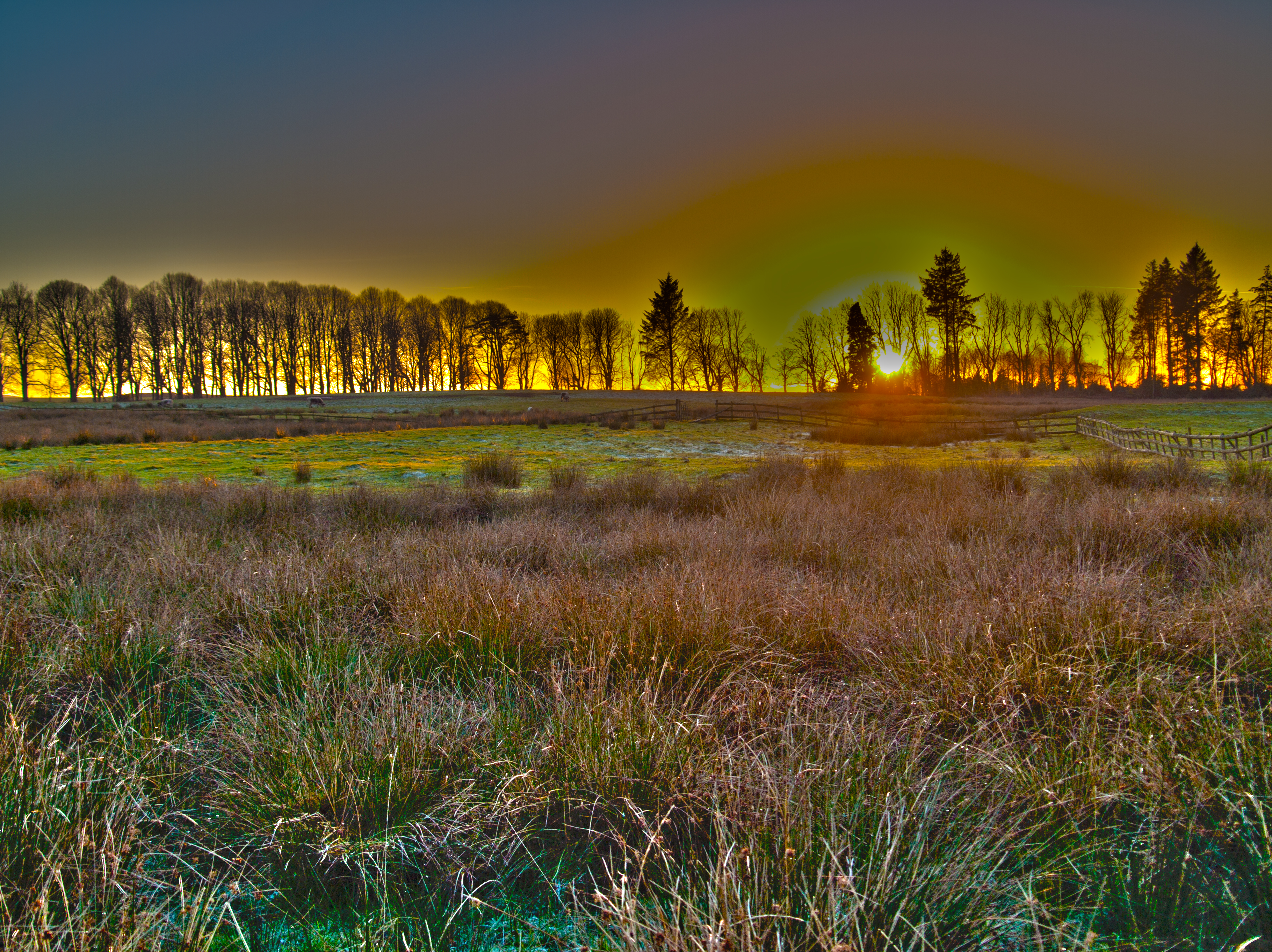 Wallpapers Cumbria field grass on the desktop