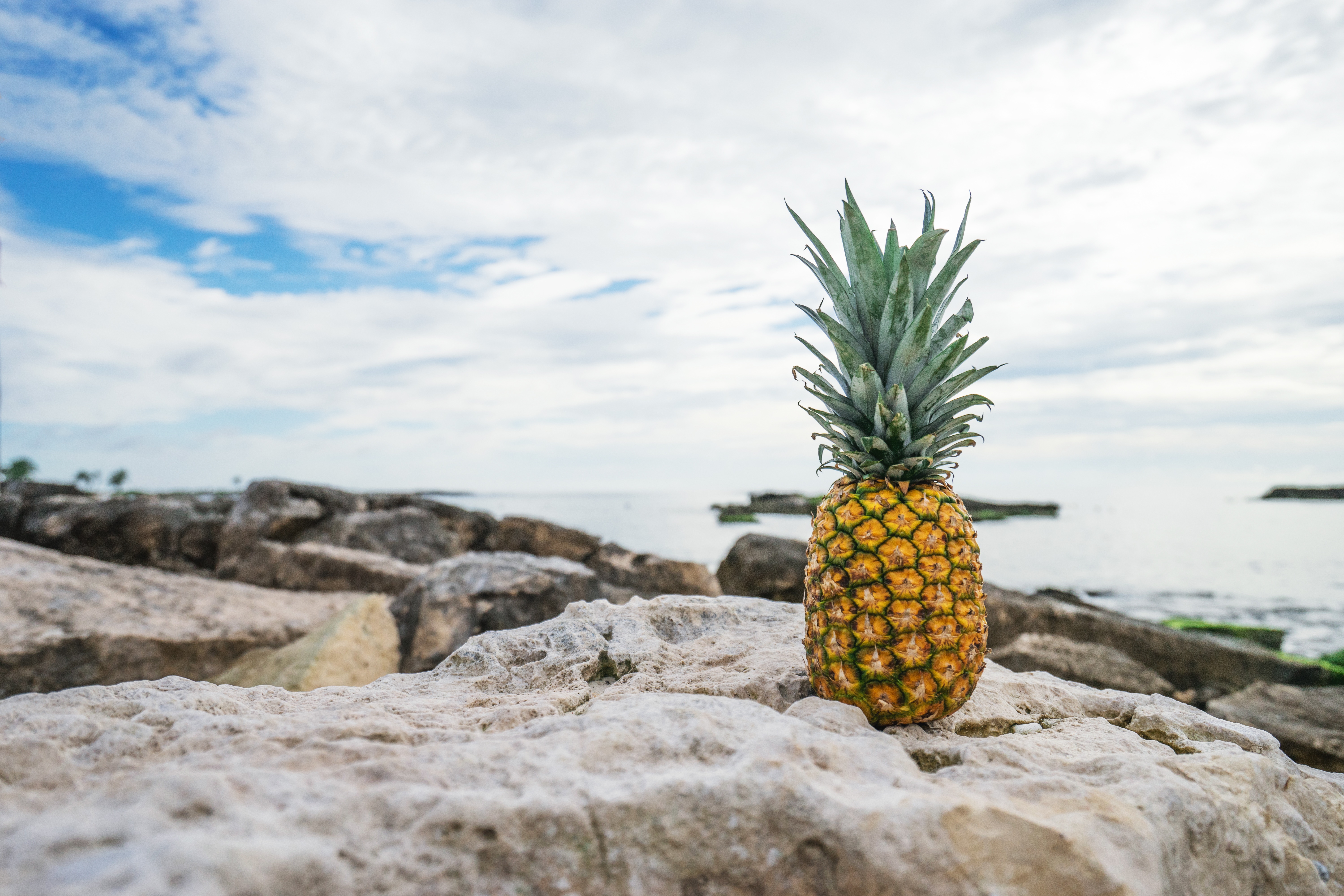 海边的菠萝