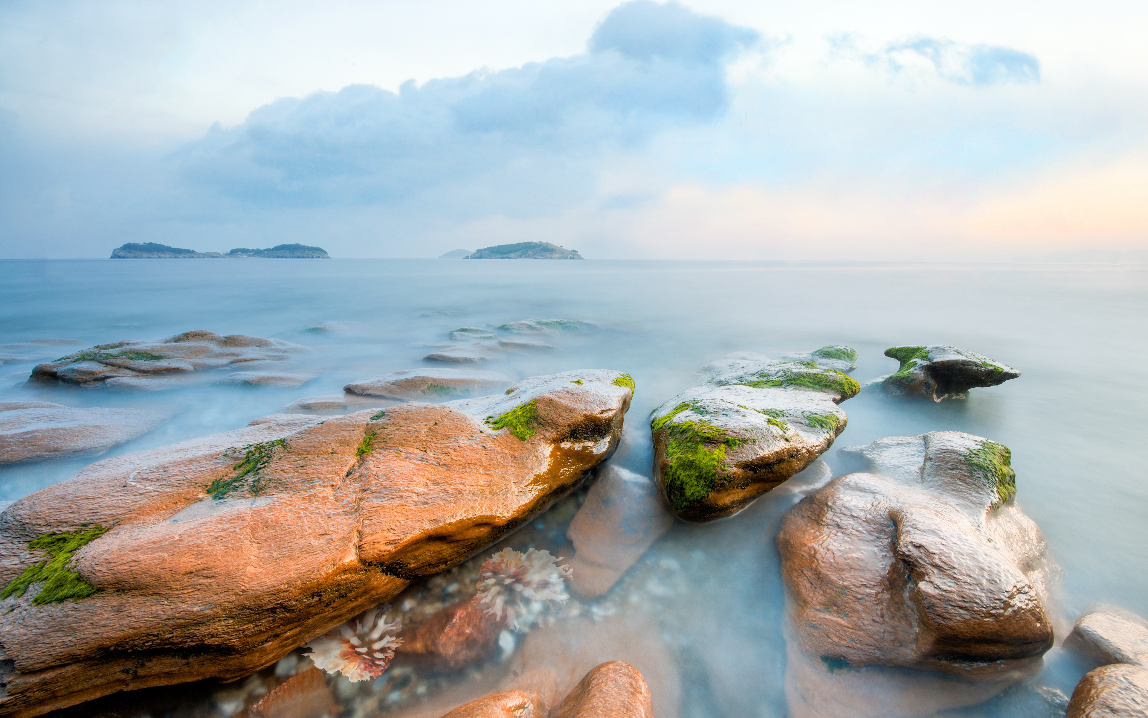 Free photo Rocky seashore