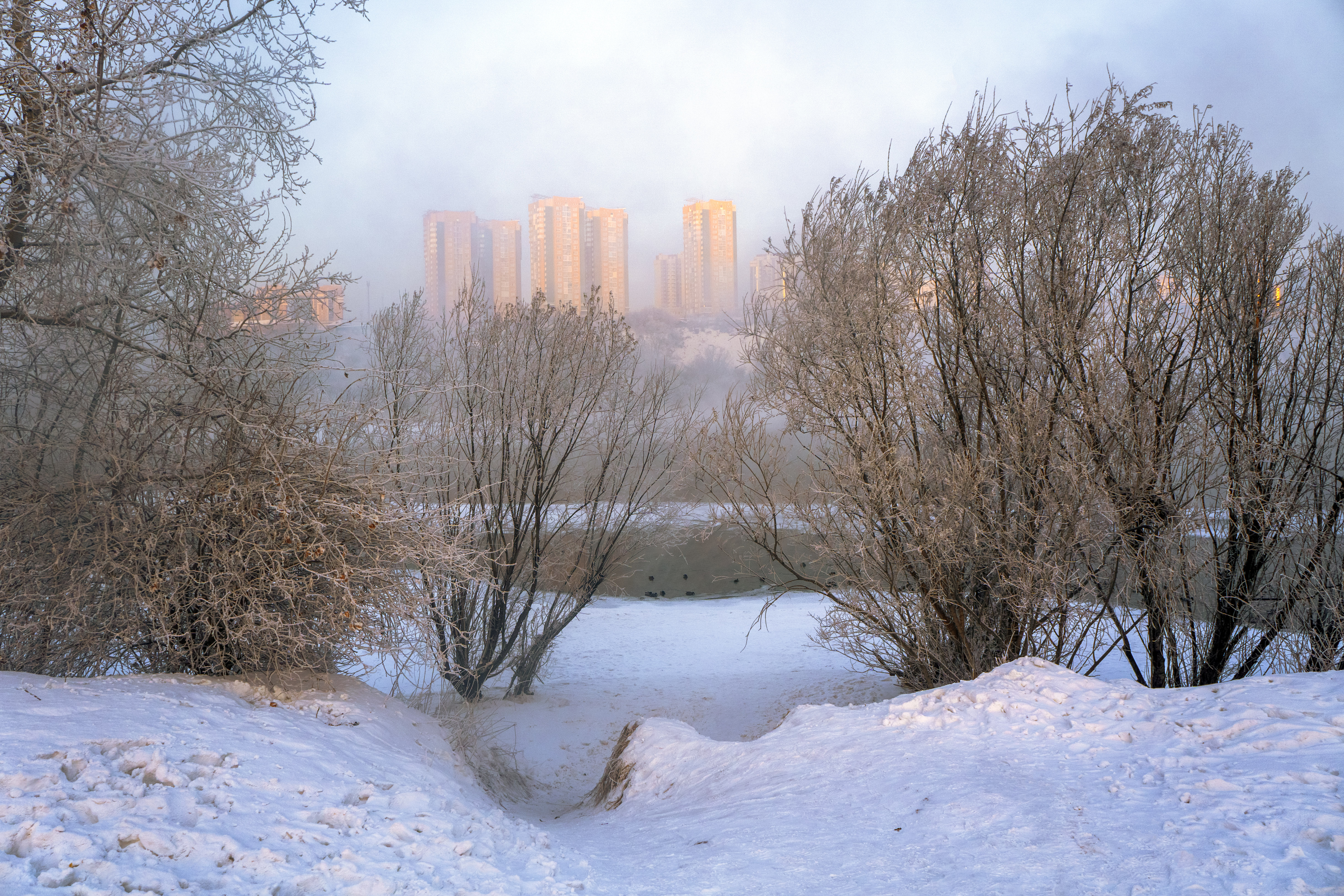 Free photo Winter morning on the island