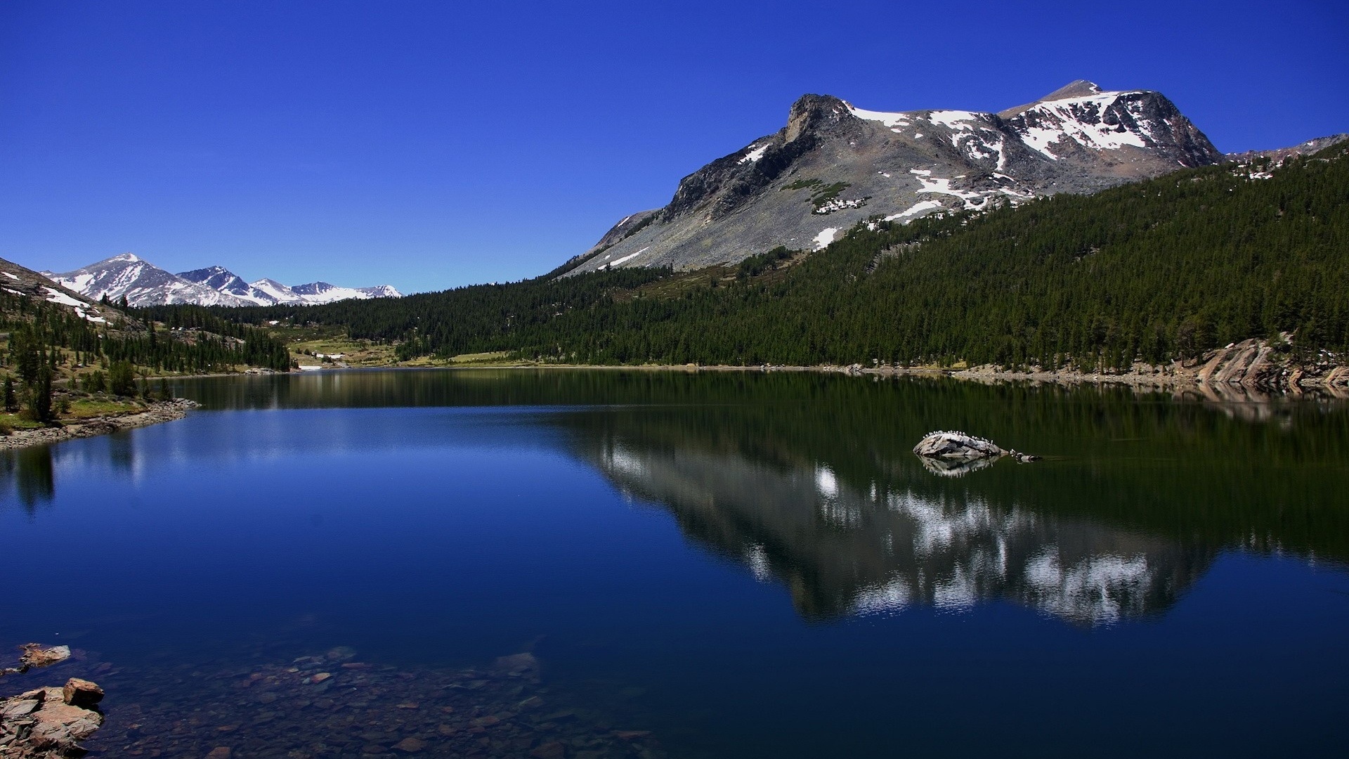 Free photo Lake of the woods