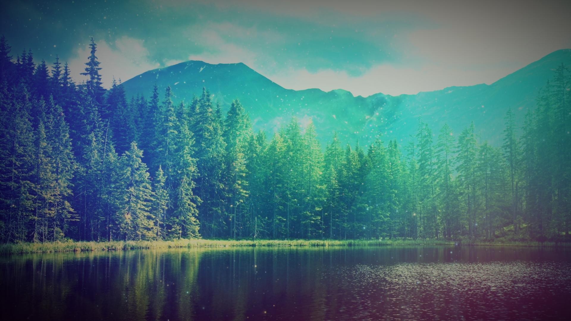 Free photo A river surrounded by forest in sunny weather