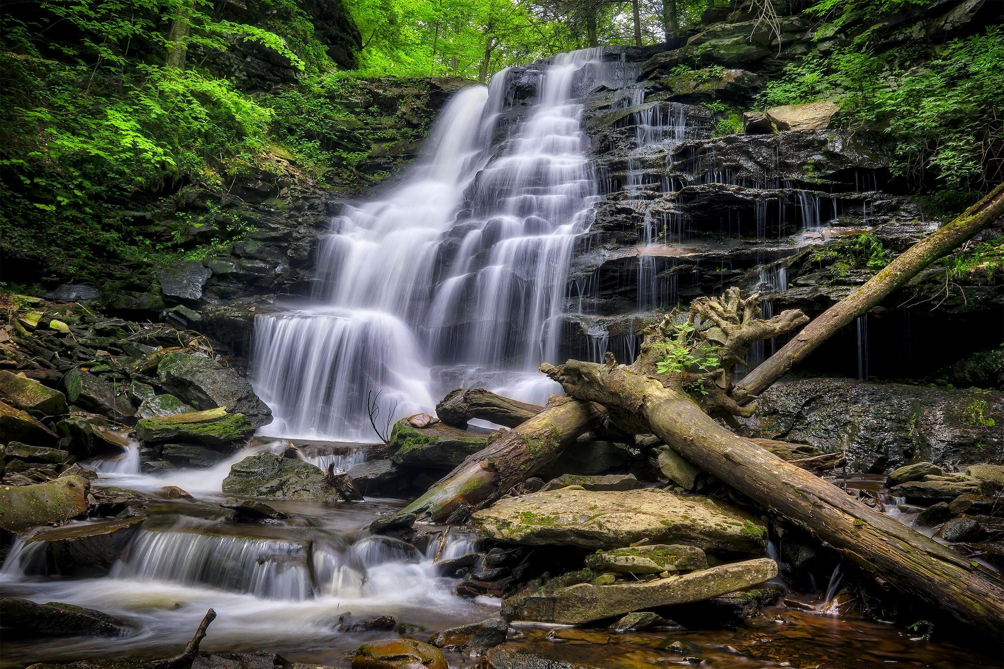 Обои скалы деревья Ricketts Glen State Park на рабочий стол