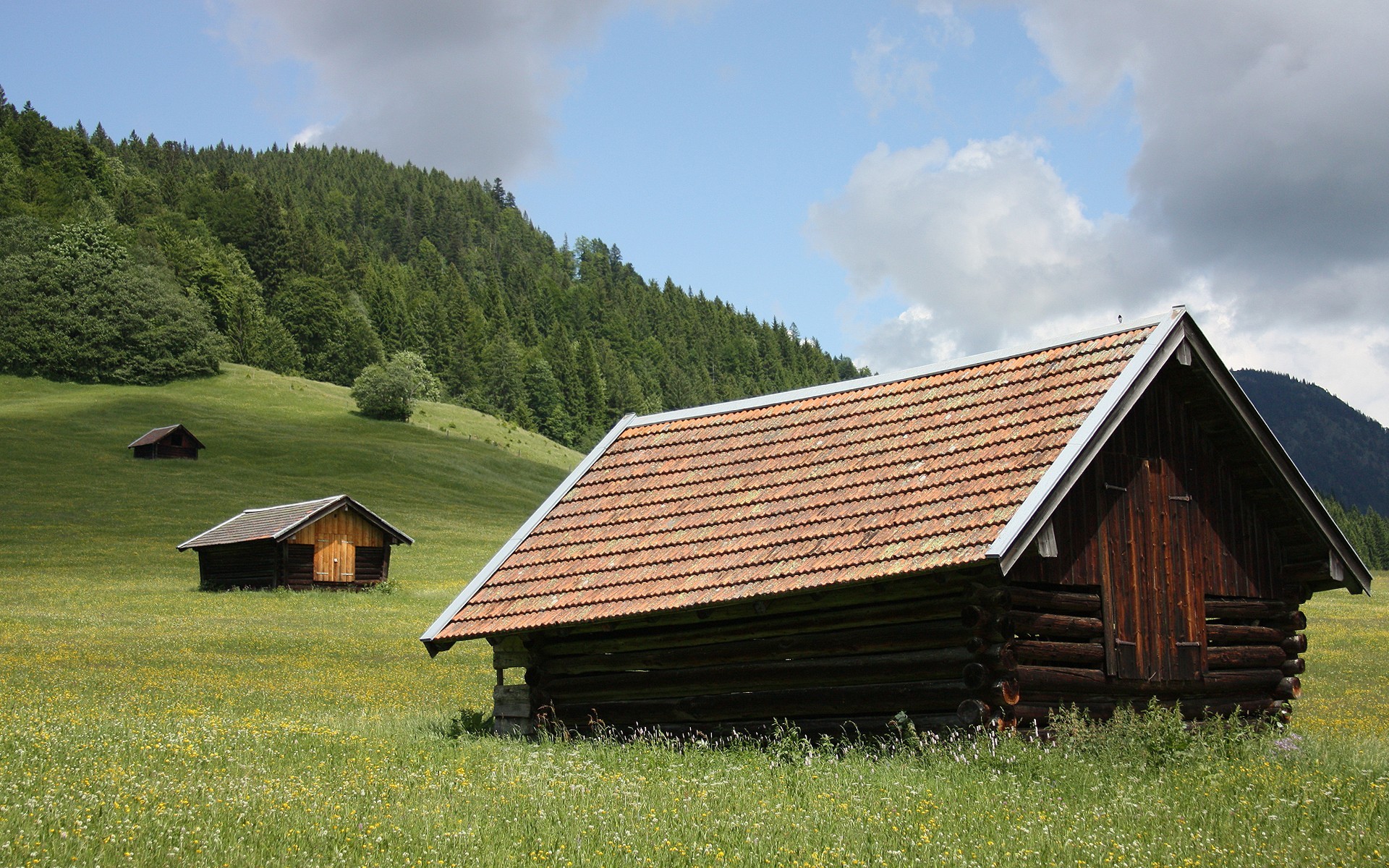 Free photo Wooden houses on green hills